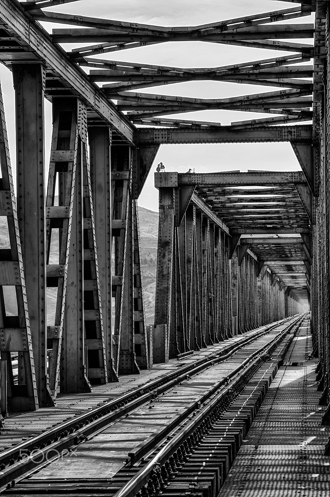 Sony Alpha DSLR-A580 + Minolta AF 35-105mm F3.5-4.5 sample photo. Kuşlar photography