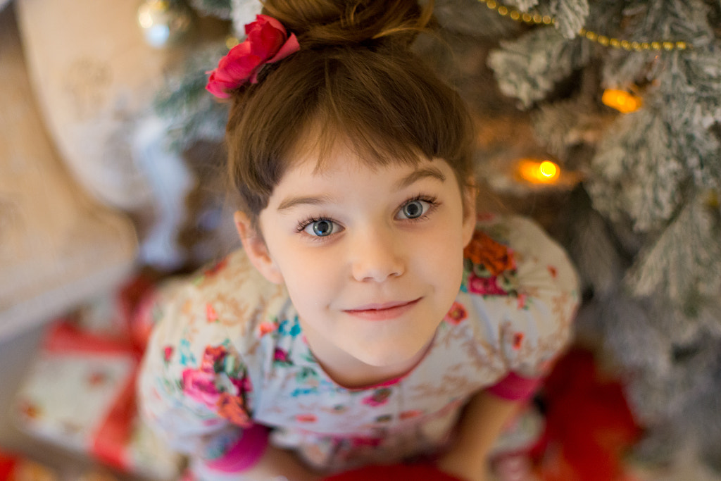 Sony SLT-A77 + Sony 50mm F1.4 sample photo. Dscкак смарт объект копия photography