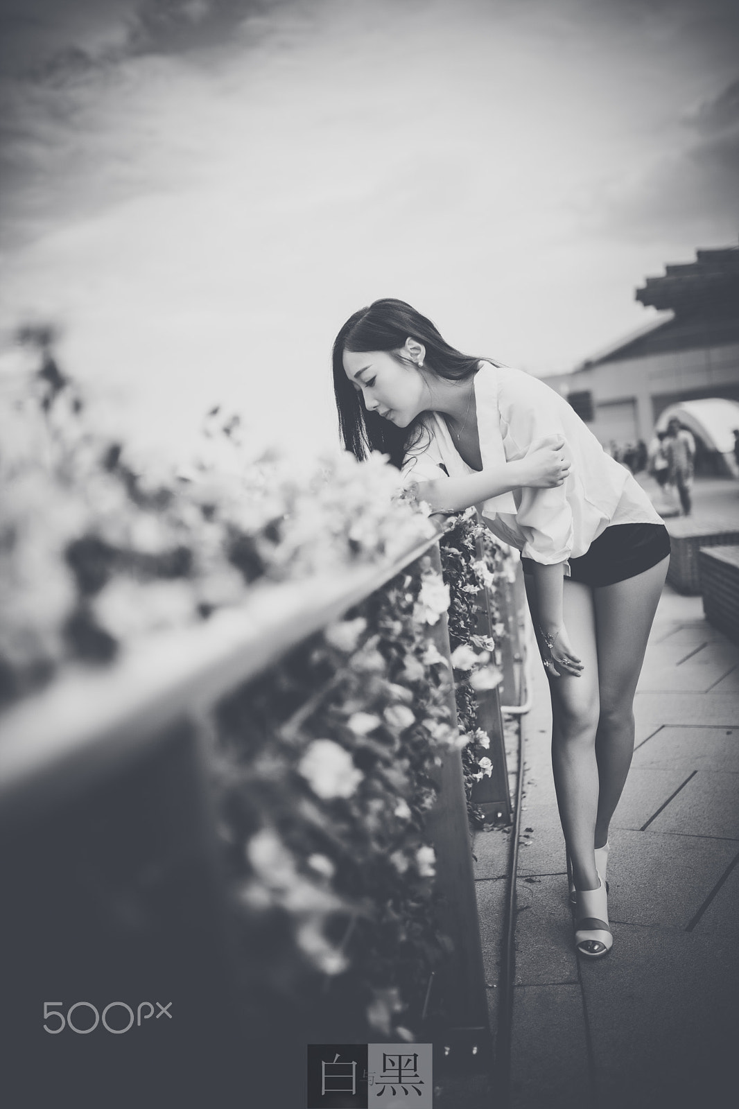 Canon EOS-1Ds Mark III sample photo. 编辑 photography