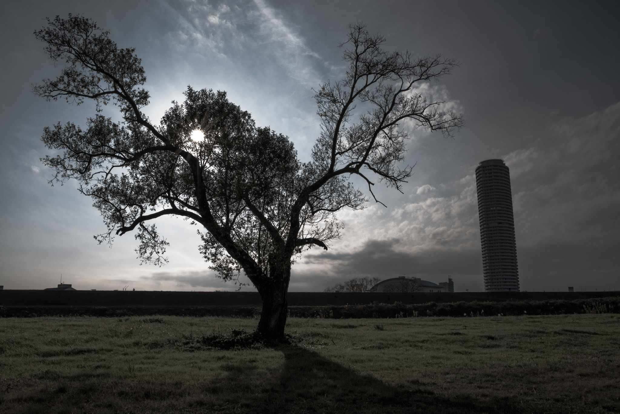 Nikon D800E + Nikon AF-S Nikkor 28mm F1.8G sample photo. The winter sunlight photography