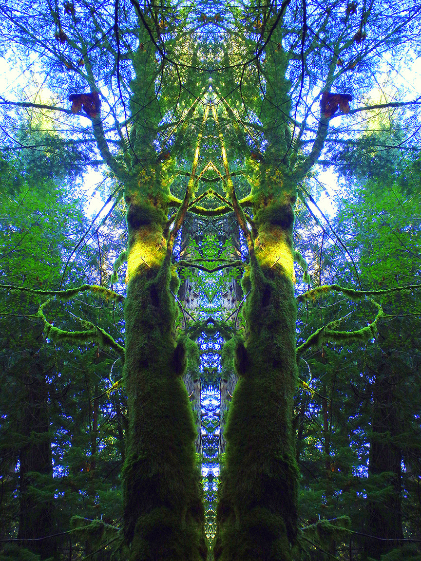 Olympus TG-830 sample photo. Celtic dream (12x16) photography