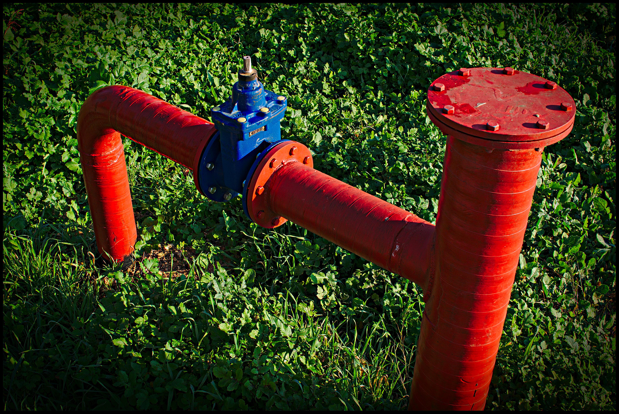 Sony Alpha NEX-5N + Sigma 30mm F2.8 EX DN sample photo. Pretty piping photography