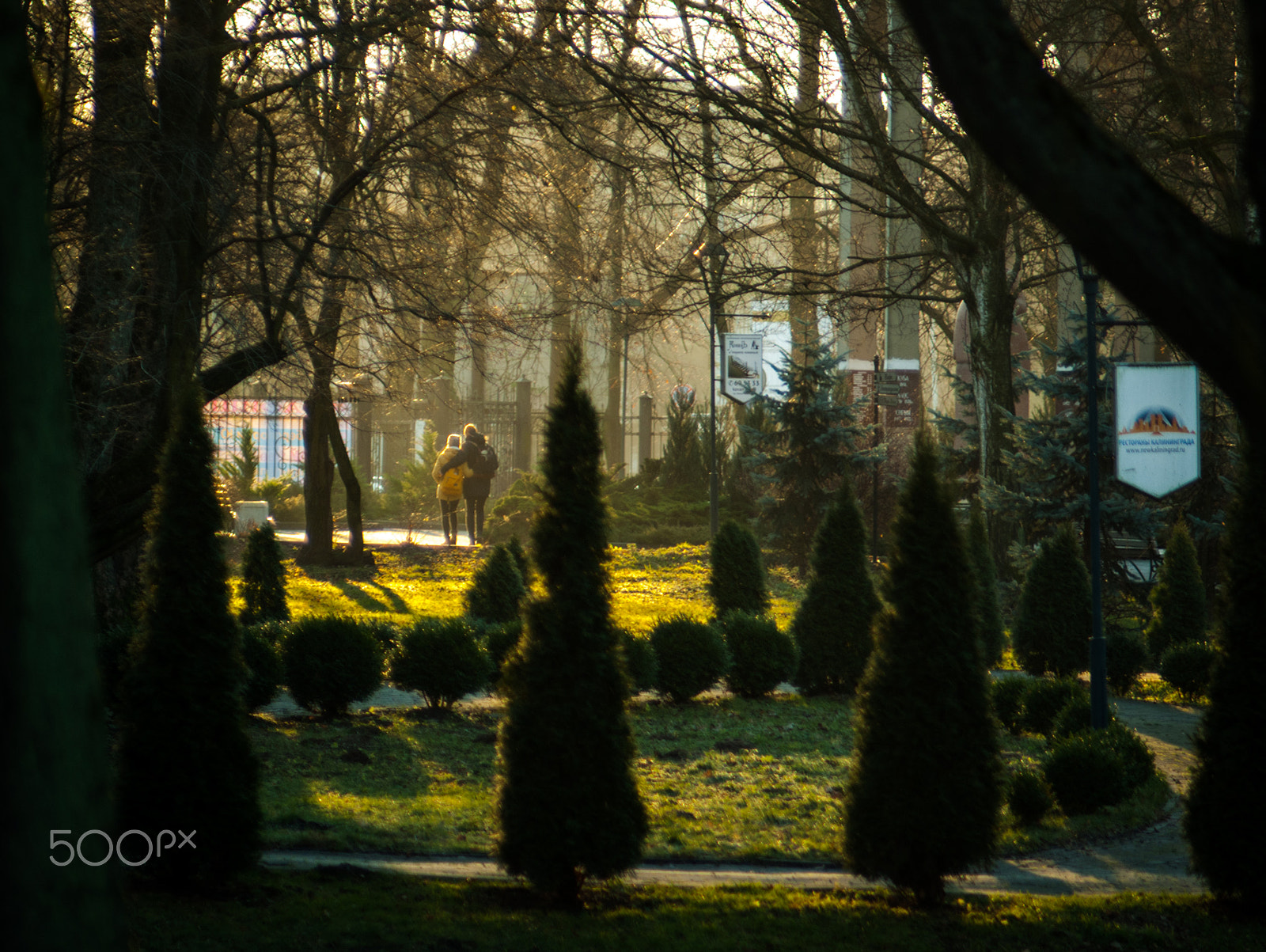 Sony Alpha DSLR-A200 + Minolta AF 50mm F1.7 sample photo. Walking together photography