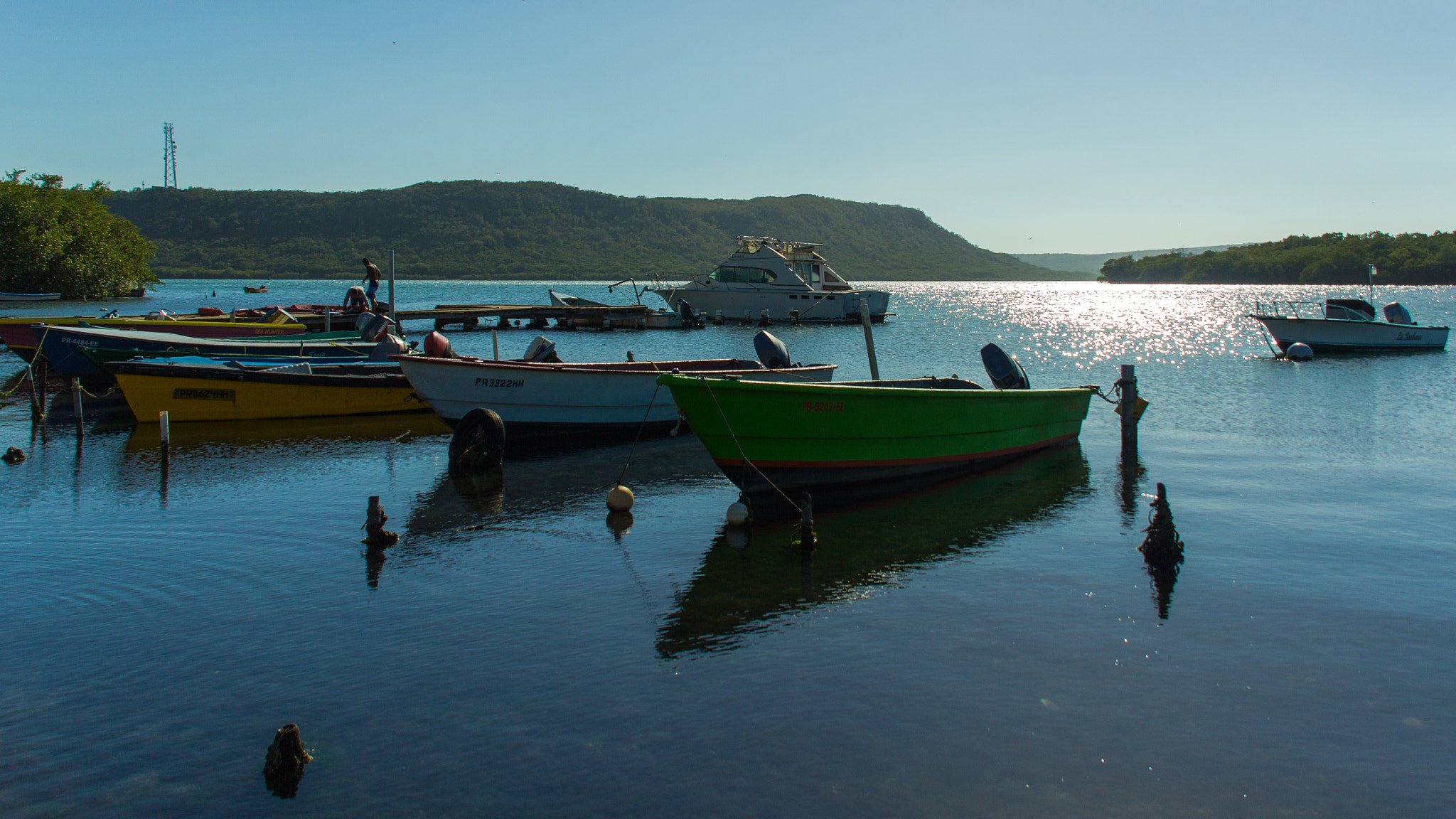 Sigma 18-200mm f/3.5-6.3 DC OS sample photo. Guanica photography