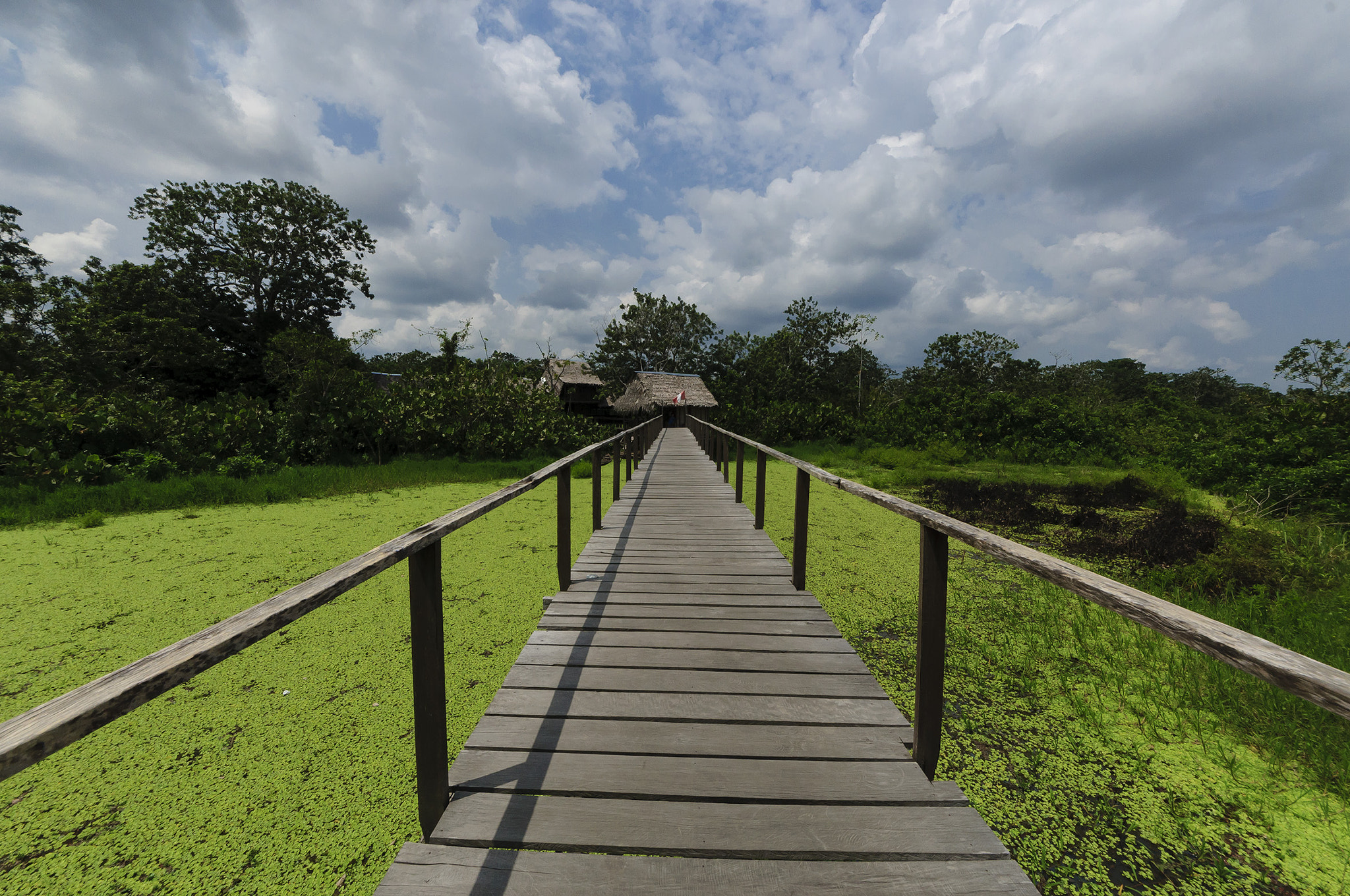 Sigma 8-16mm F4.5-5.6 DC HSM sample photo. Amazonas, otro día mas en el paraíso. photography