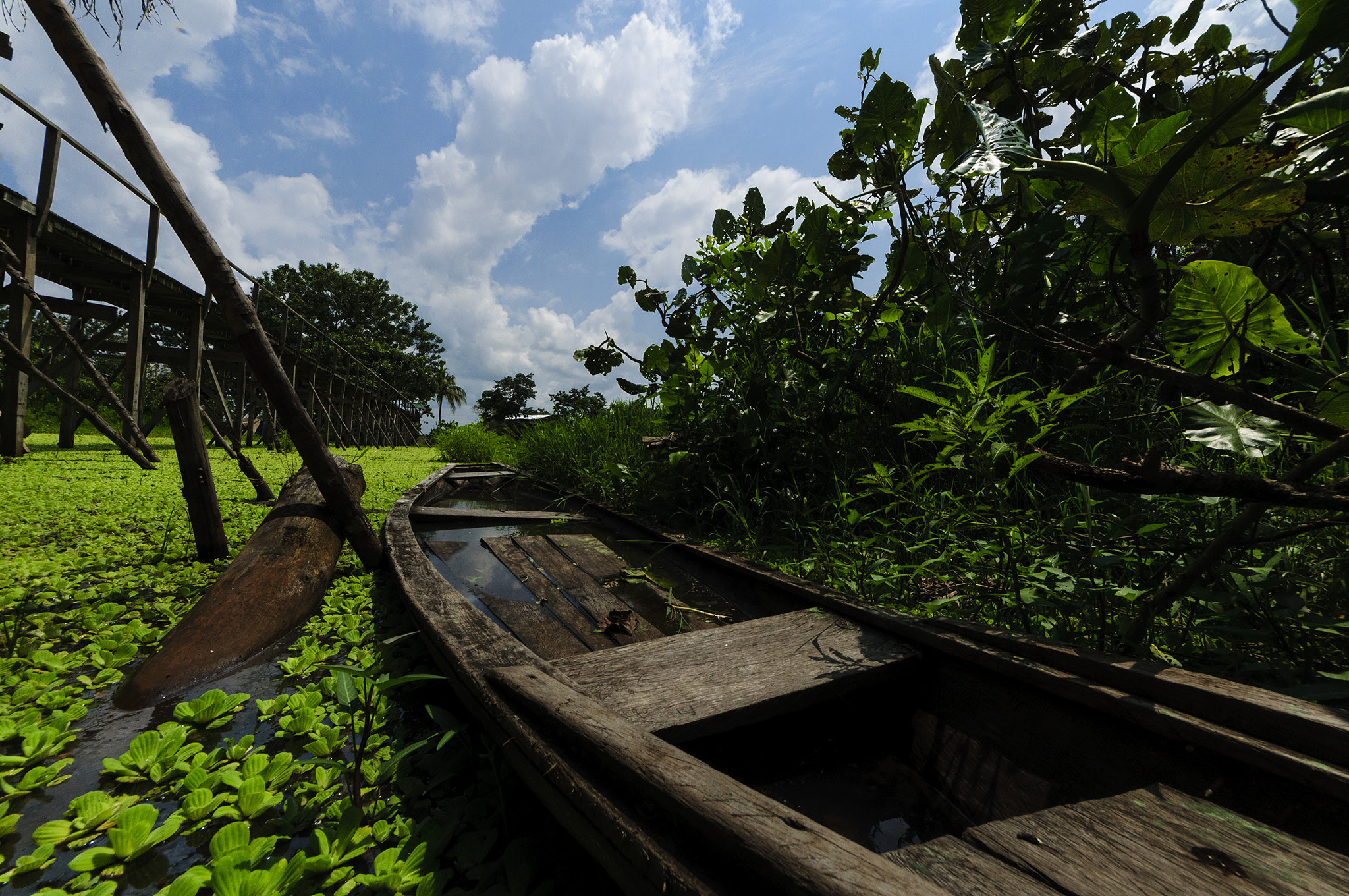 Sigma 8-16mm F4.5-5.6 DC HSM sample photo. Amazonas, otro día mas en el paraíso. photography