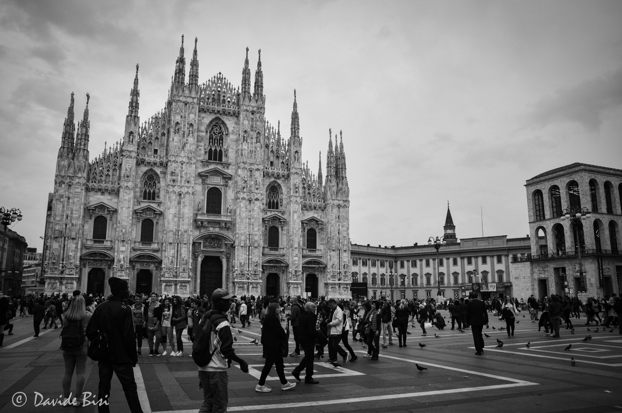 Sigma 17-70mm F2.8-4 DC Macro OS HSM | C sample photo. Black and white milan photography