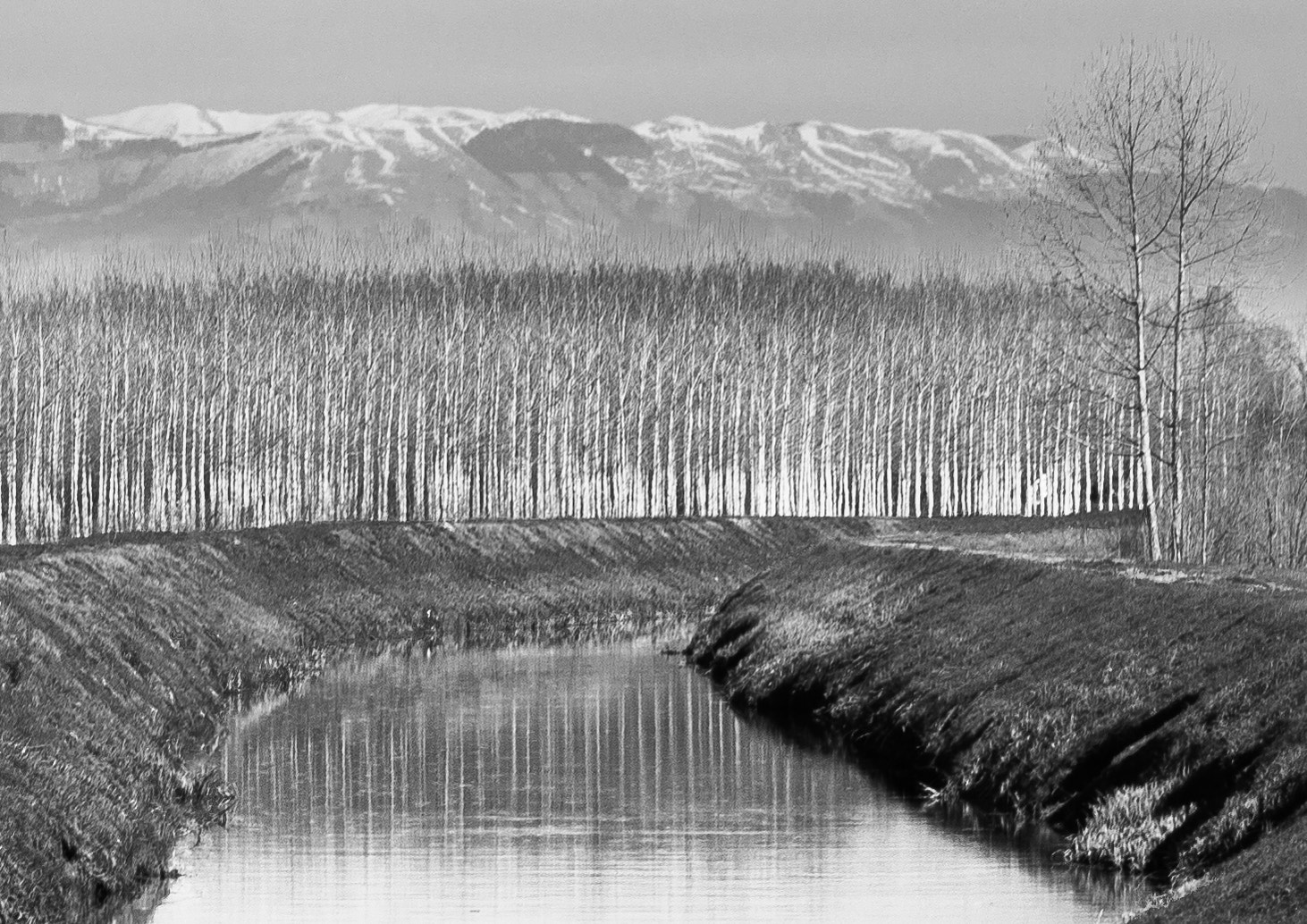 Leica M (Typ 240) + Leica Summarit-M 90mm F2.5 sample photo. Fall landscape outside venice. photography