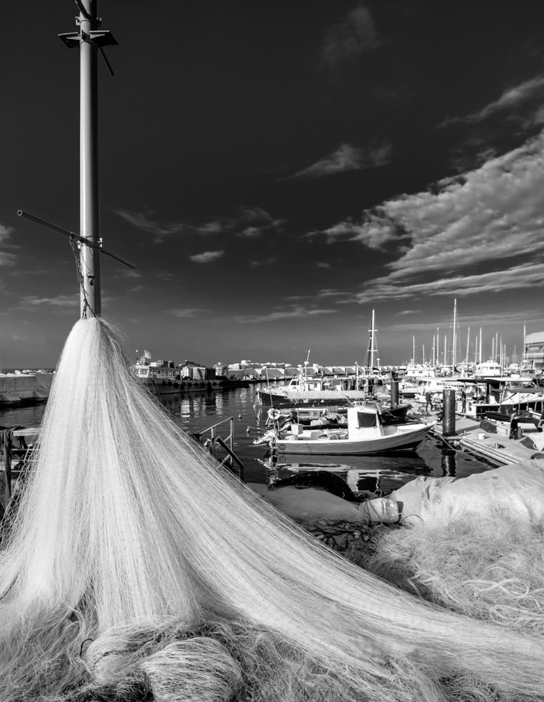 Nikon D700 + Nikon PC-E Nikkor 24mm F3.5D ED Tilt-Shift sample photo. Israel, tel aviv, namal jaffa old port photography