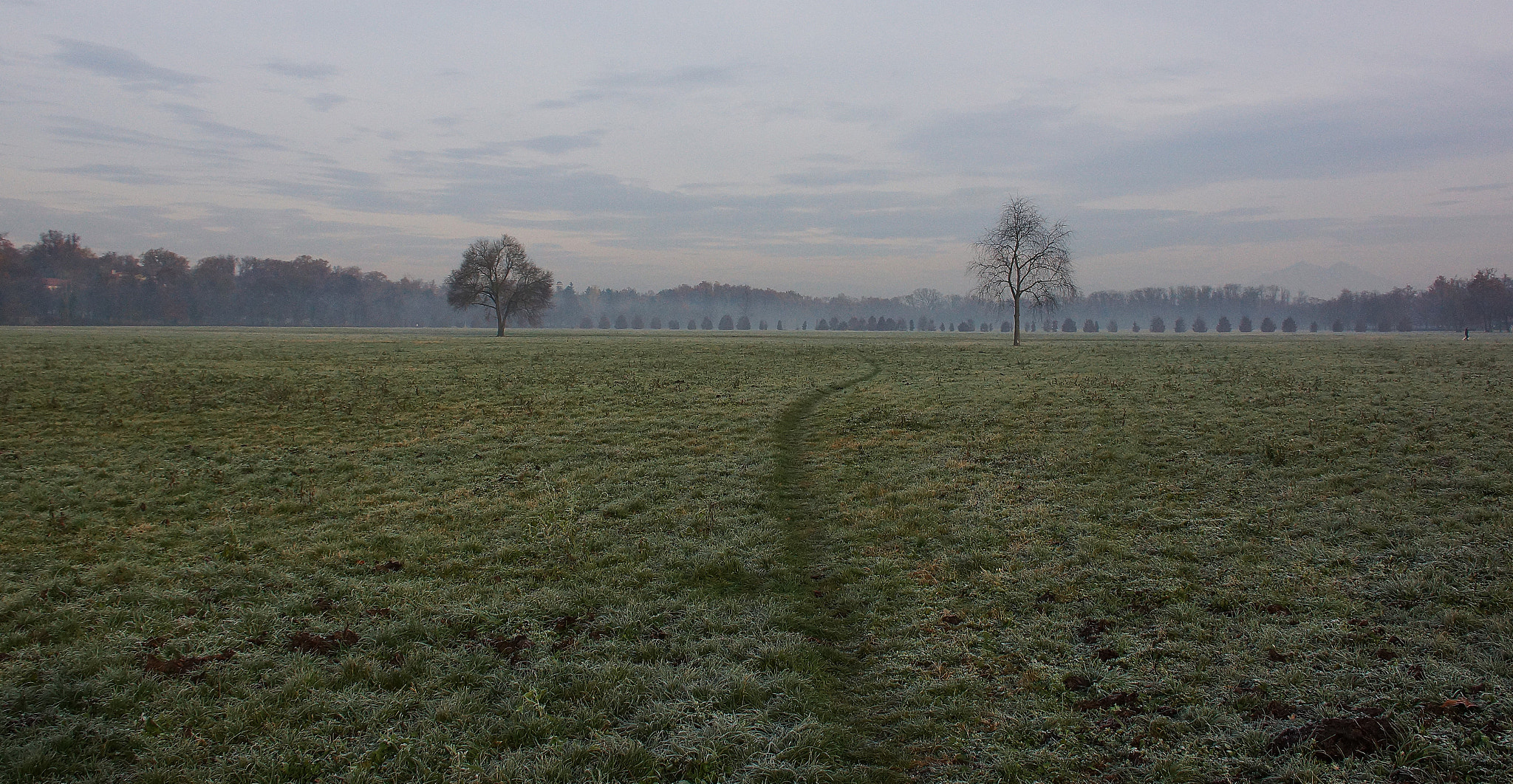 Sony SLT-A77 + DT 18-300mm F3.5-6.3 sample photo. Monza's park photography