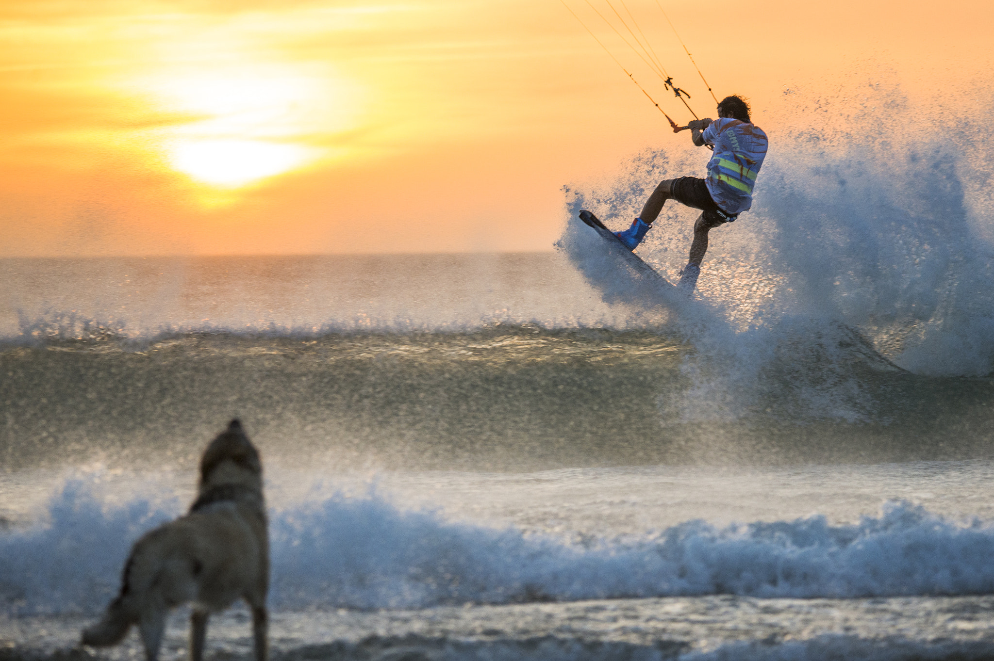 Sigma 120-400mm F4.5-5.6 DG OS HSM sample photo. Alvaro onieva salto con perro jpg photography