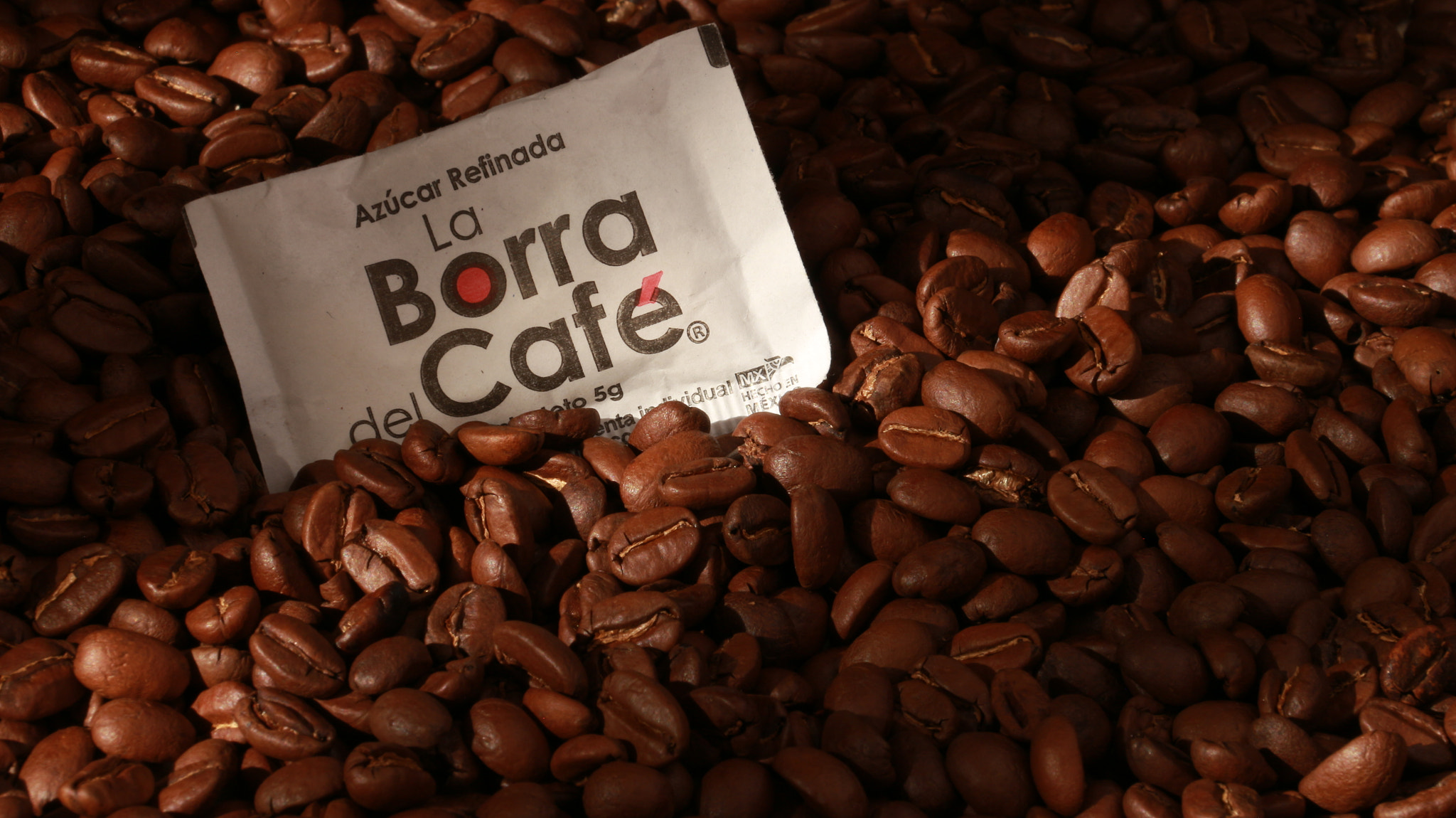 Canon EOS M sample photo. Grain of coffee photography