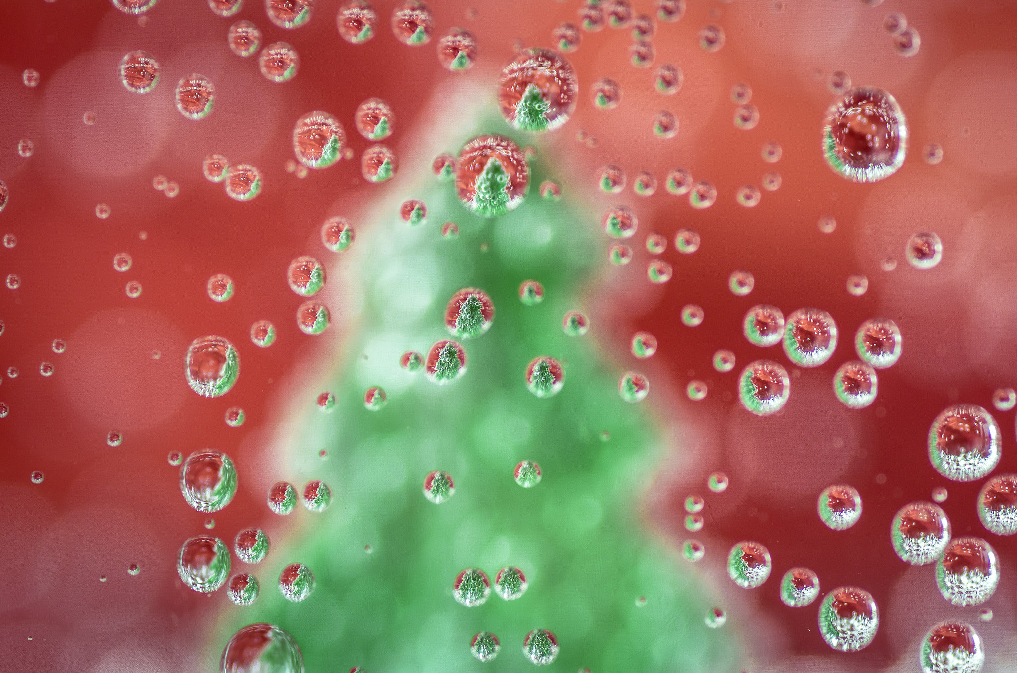 Tamron SP AF 90mm F2.8 Di Macro sample photo. Xmas tree i guess photography