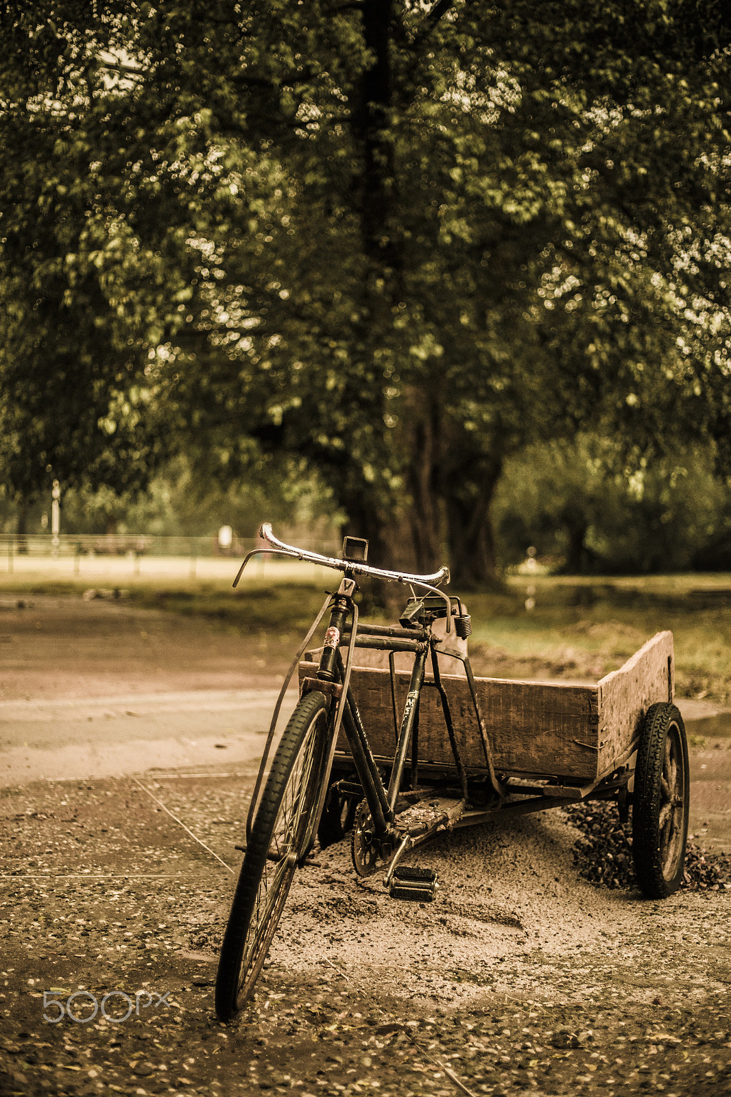 Canon EOS 6D + Canon EF 50mm f/1.8 sample photo. Memories photography