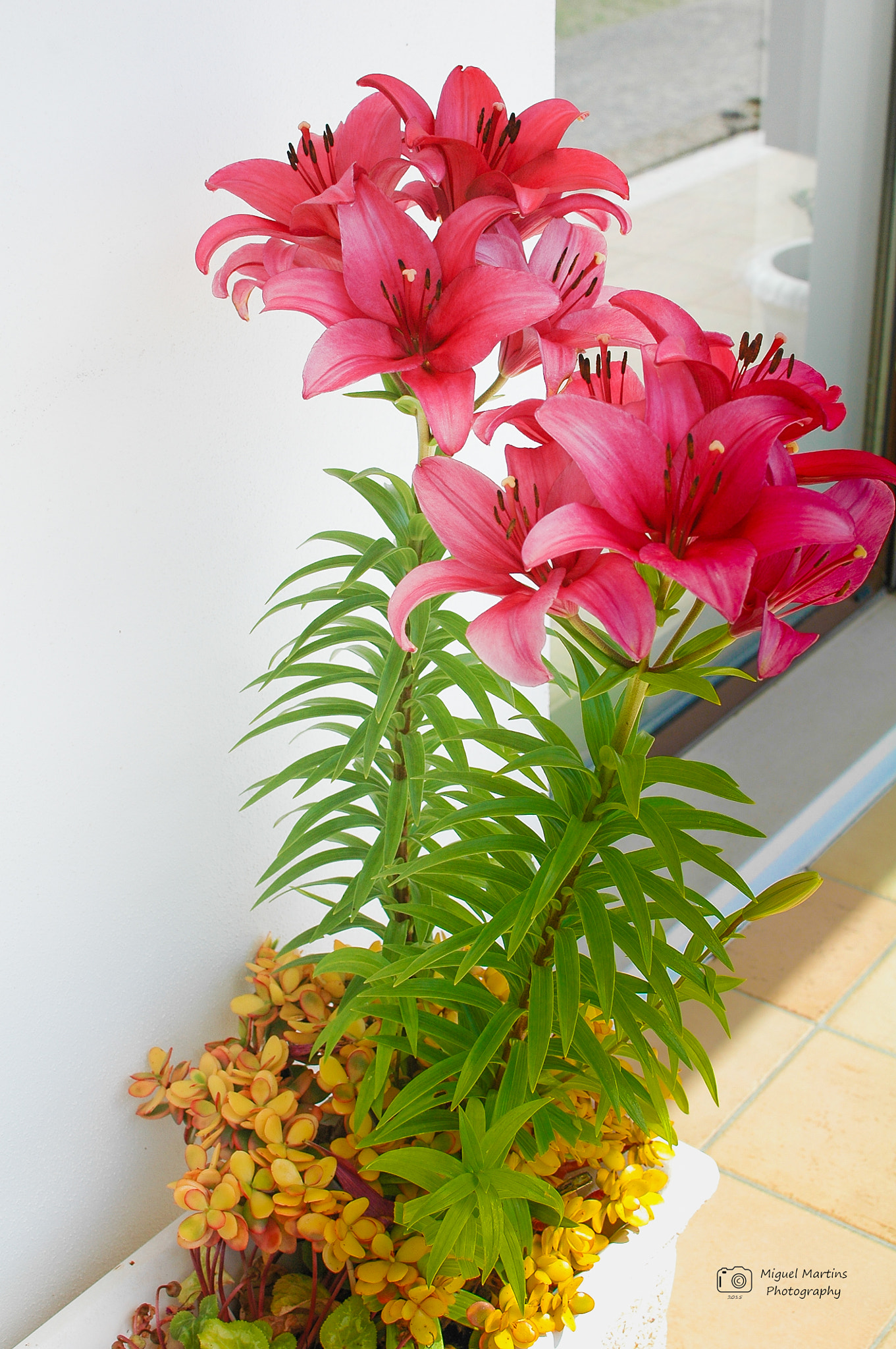 Nikon D70 + Nikon AF-S DX Nikkor 35mm F1.8G sample photo. Dsc_4789.jpg photography