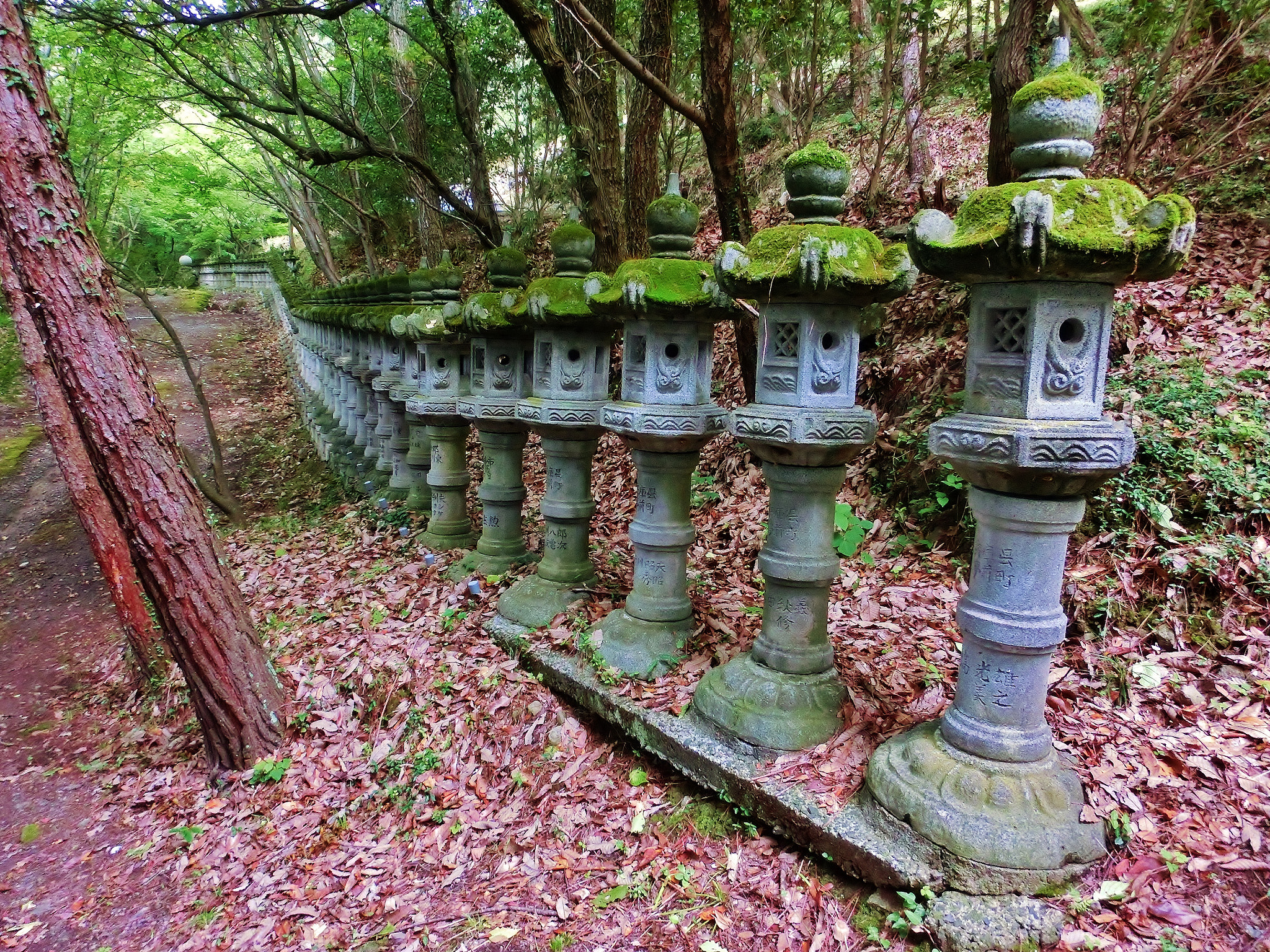 CASIO EX-ZR300 sample photo. Stone lantern of the japanese buddhist temple photography