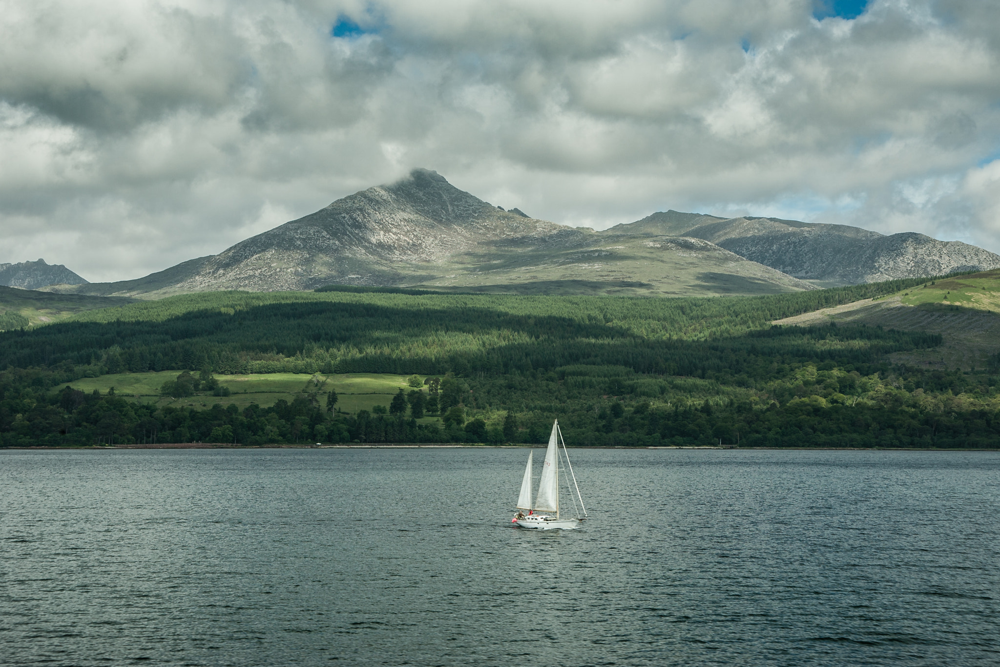 Canon EOS-1D Mark II N sample photo. A quiet sail photography