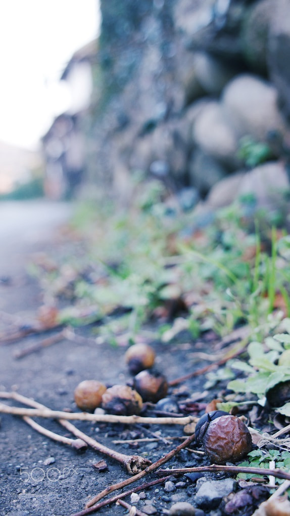 Sony DT 18-70mm F3.5-5.6 sample photo. Dropped berry photography
