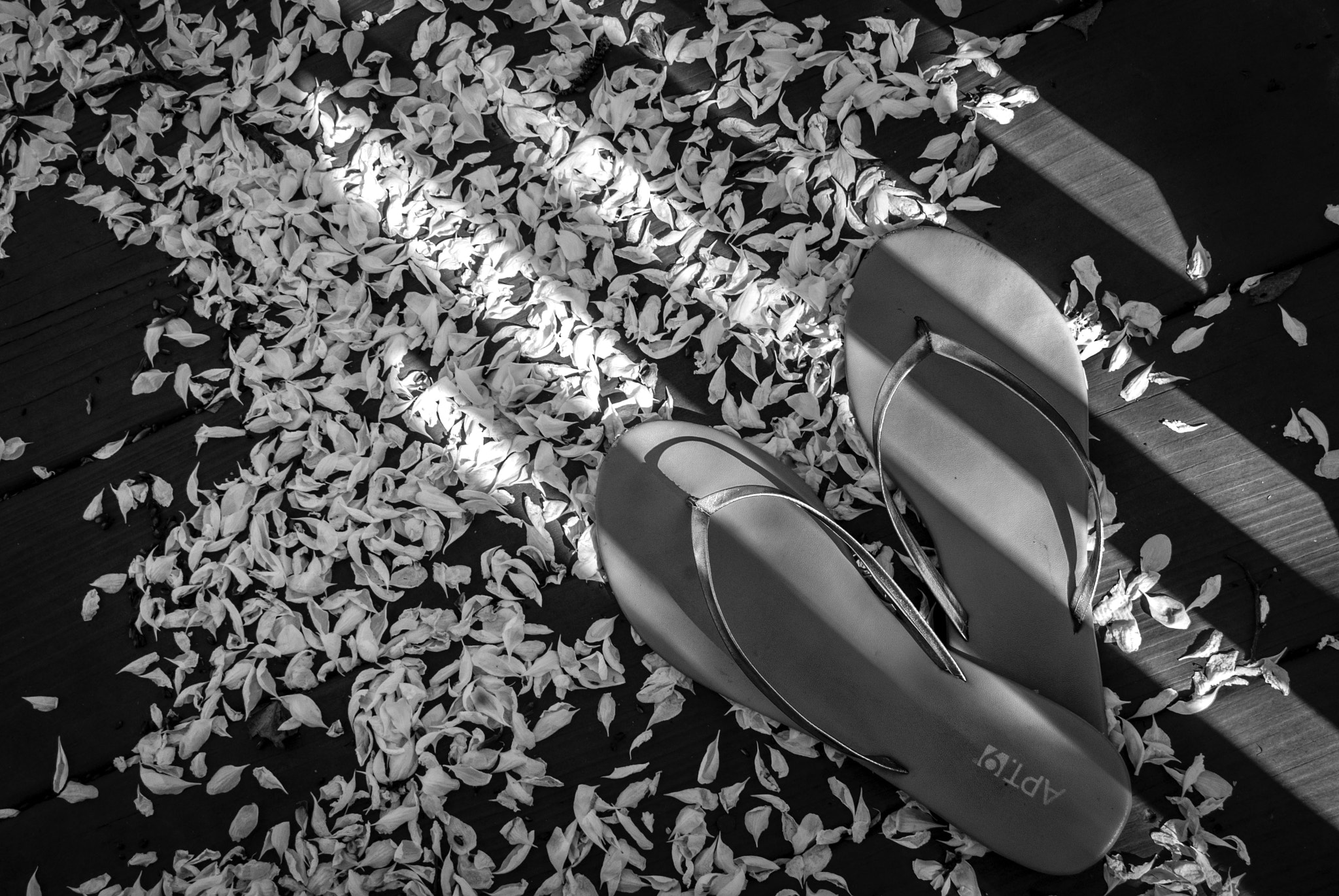 Sony Alpha DSLR-A330 sample photo. Summer photography