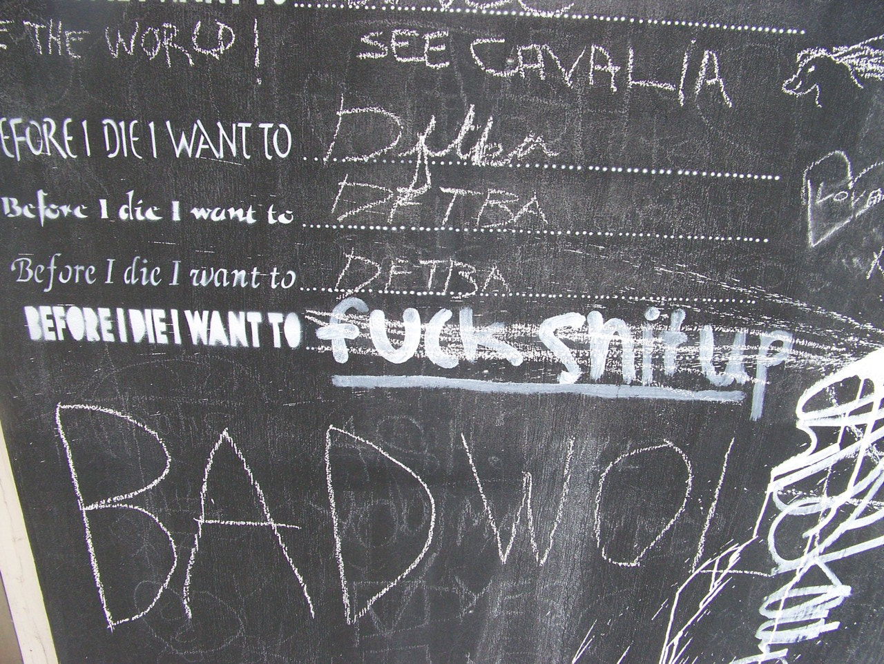 Kodak Z612 ZOOM DIGITAL CAMERA sample photo. Before i die wall photography