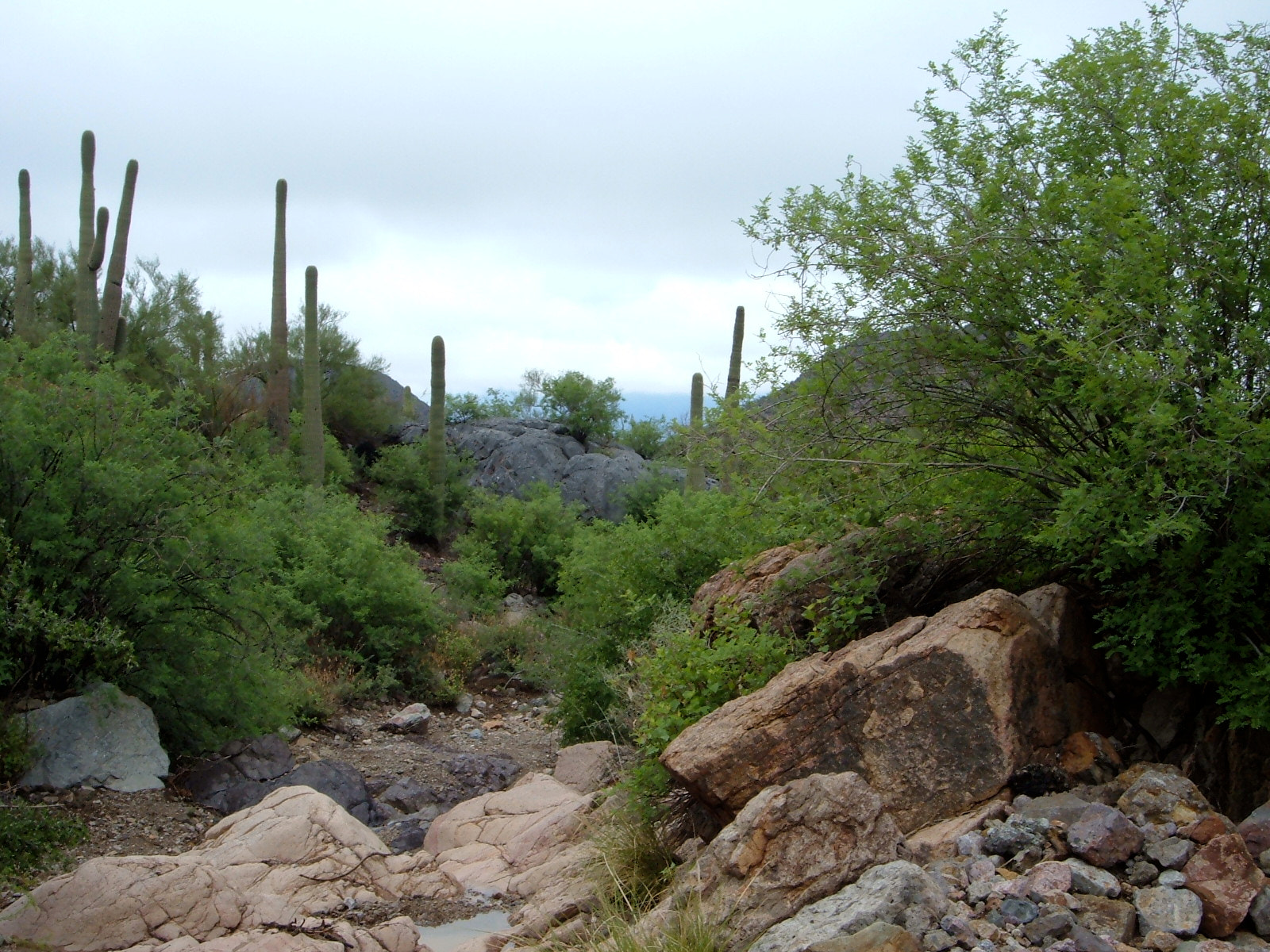 Fujifilm FinePix A340 sample photo. Arizona desert landscape photography