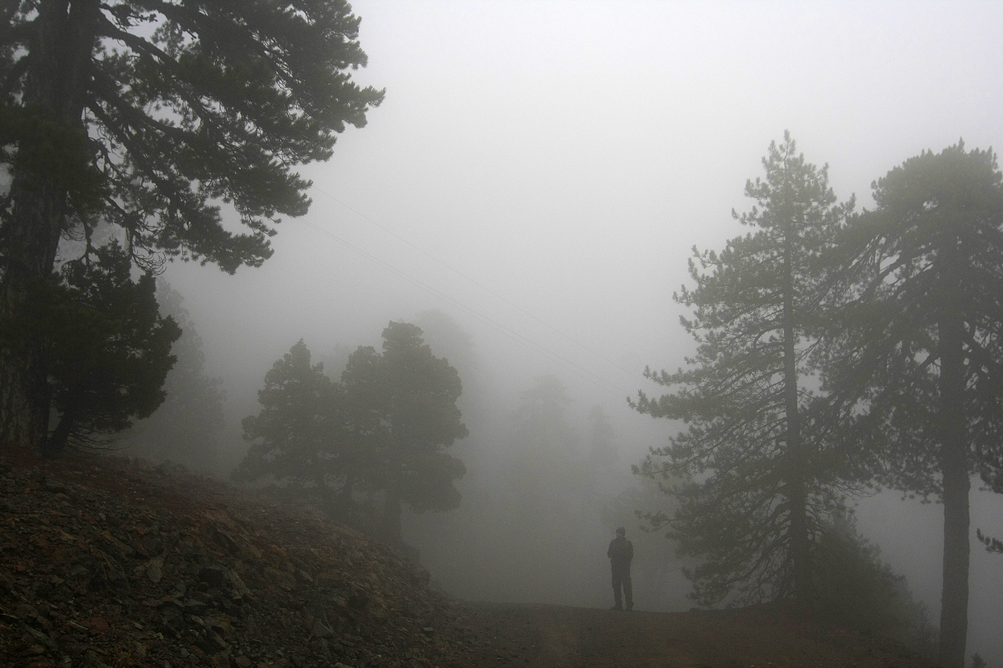 Tokina AT-X Pro 12-24mm F4 (IF) DX sample photo. A foggy day photography