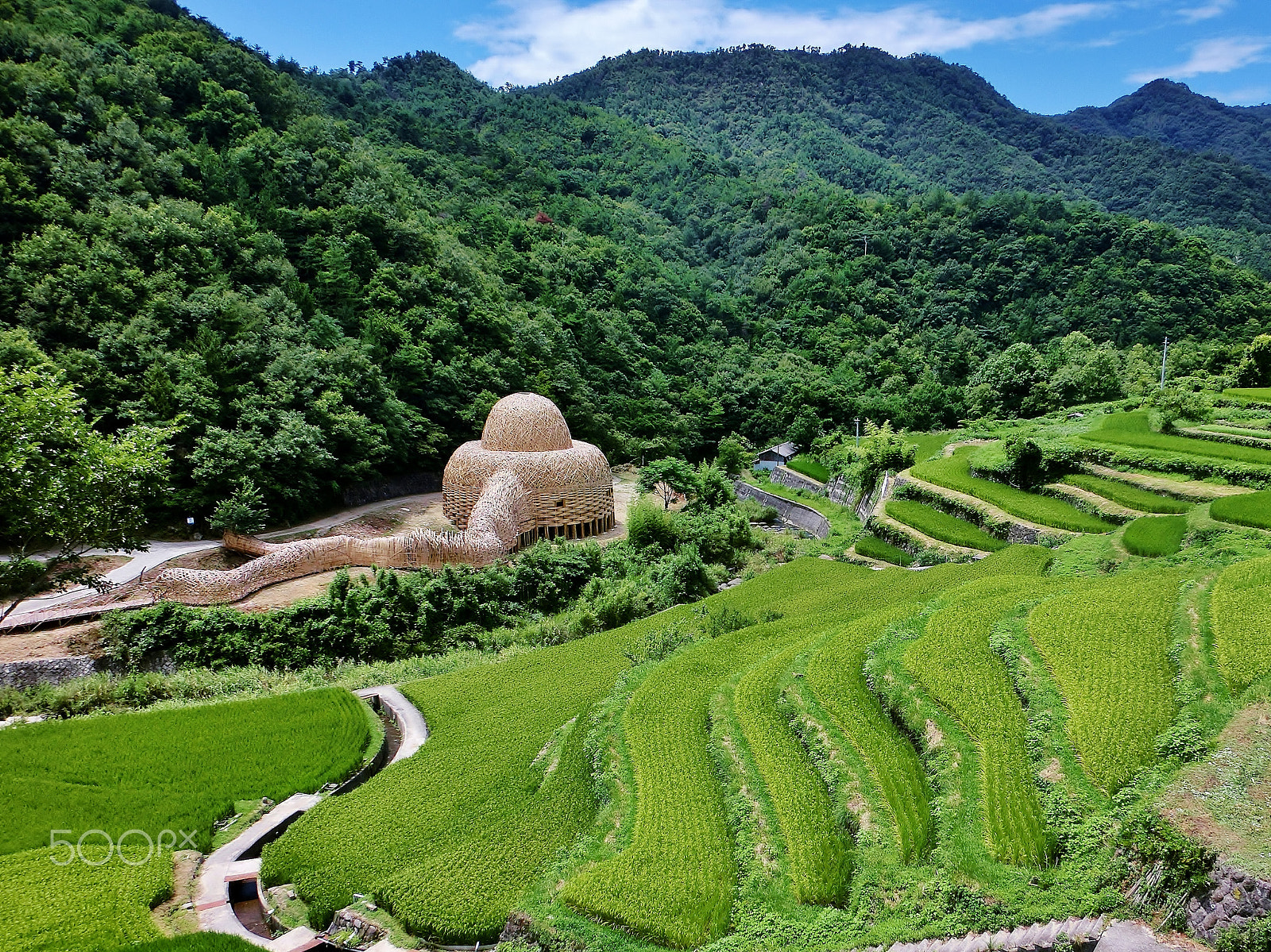 CASIO EX-ZR300 sample photo. Rice terraces and bamboo house photography