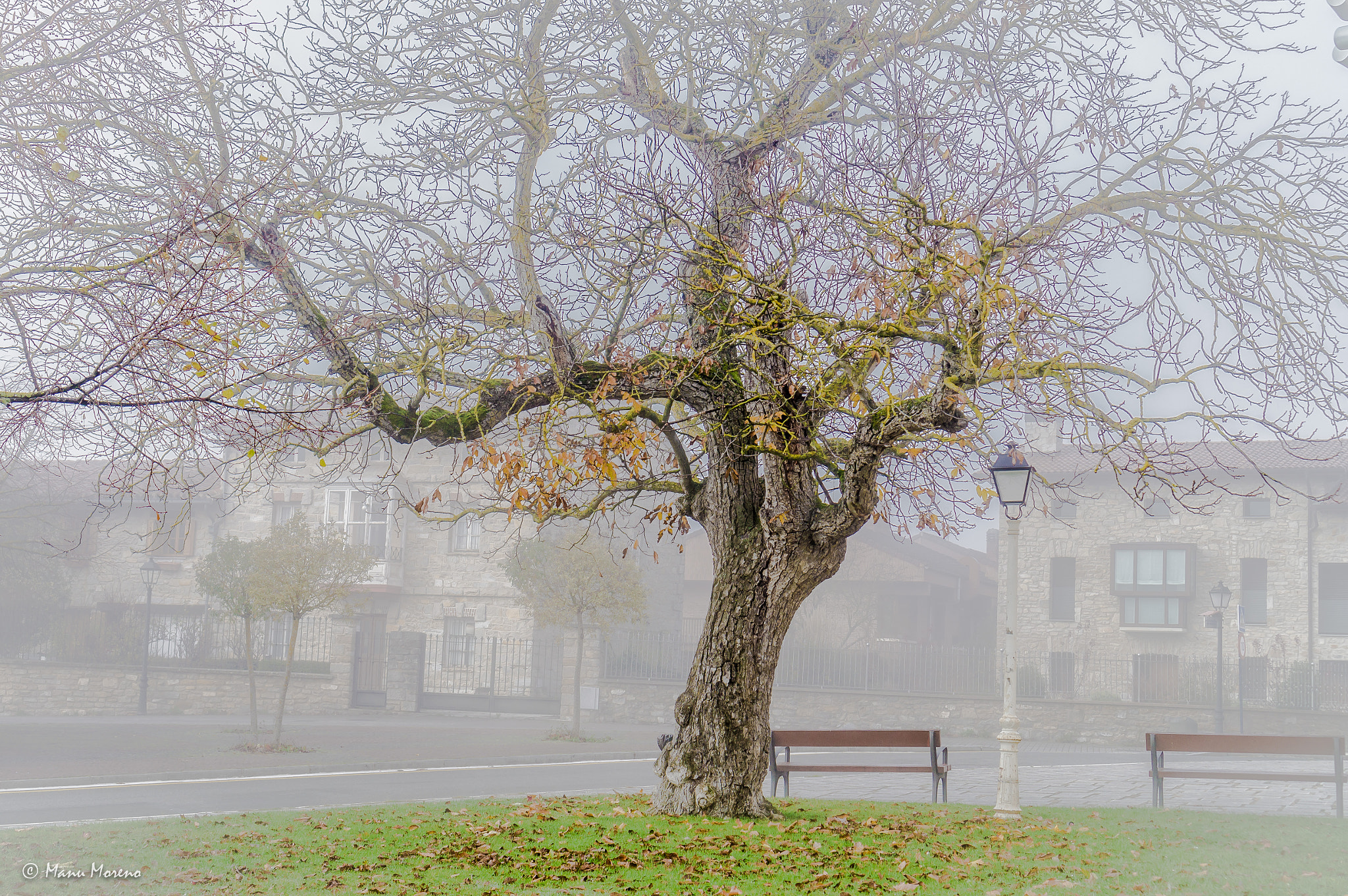 Sony Alpha NEX-F3 + Sony E 35mm F1.8 OSS sample photo. Niebla photography