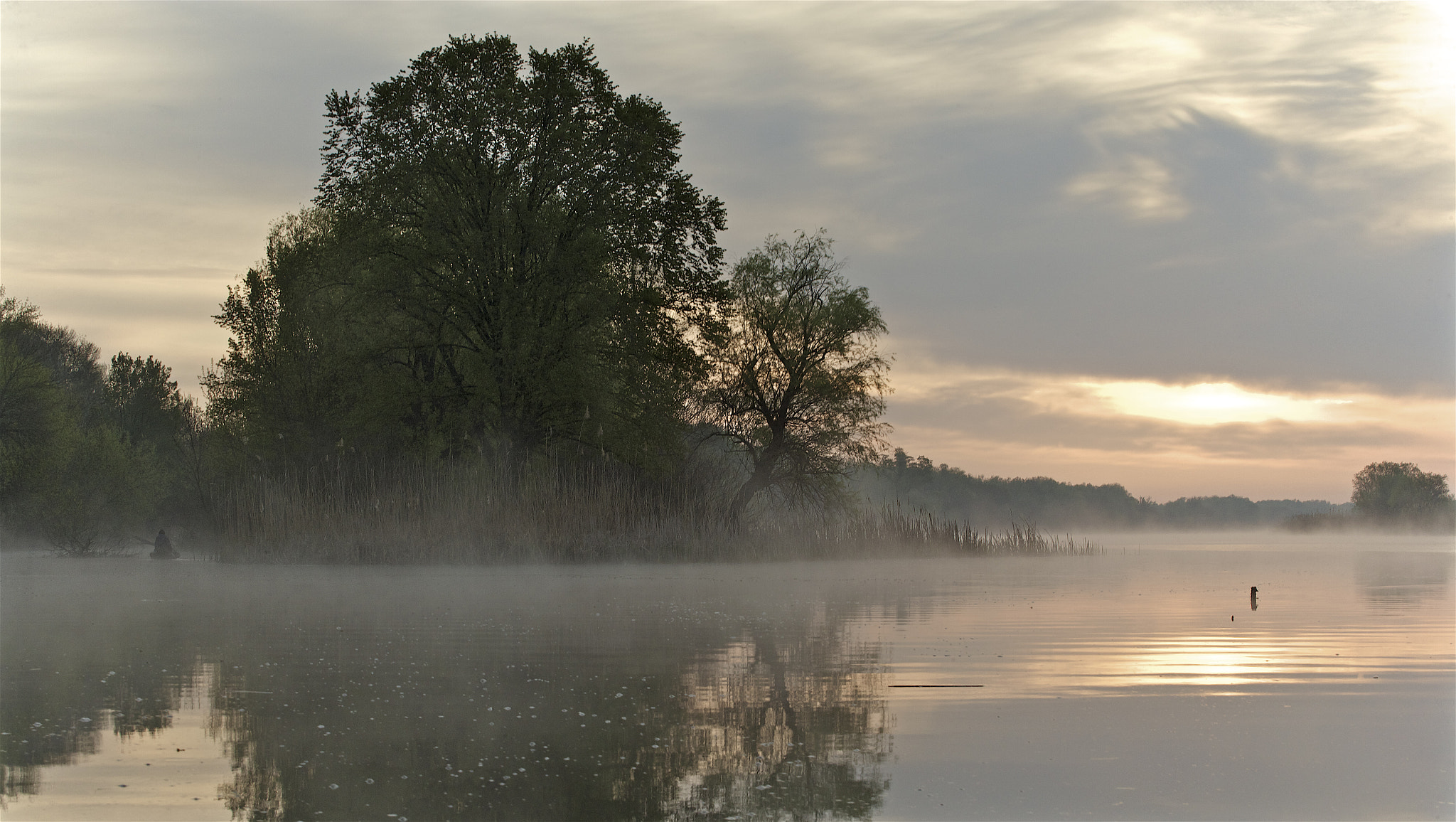 Canon EOS-1Ds Mark II sample photo. River breathes photography