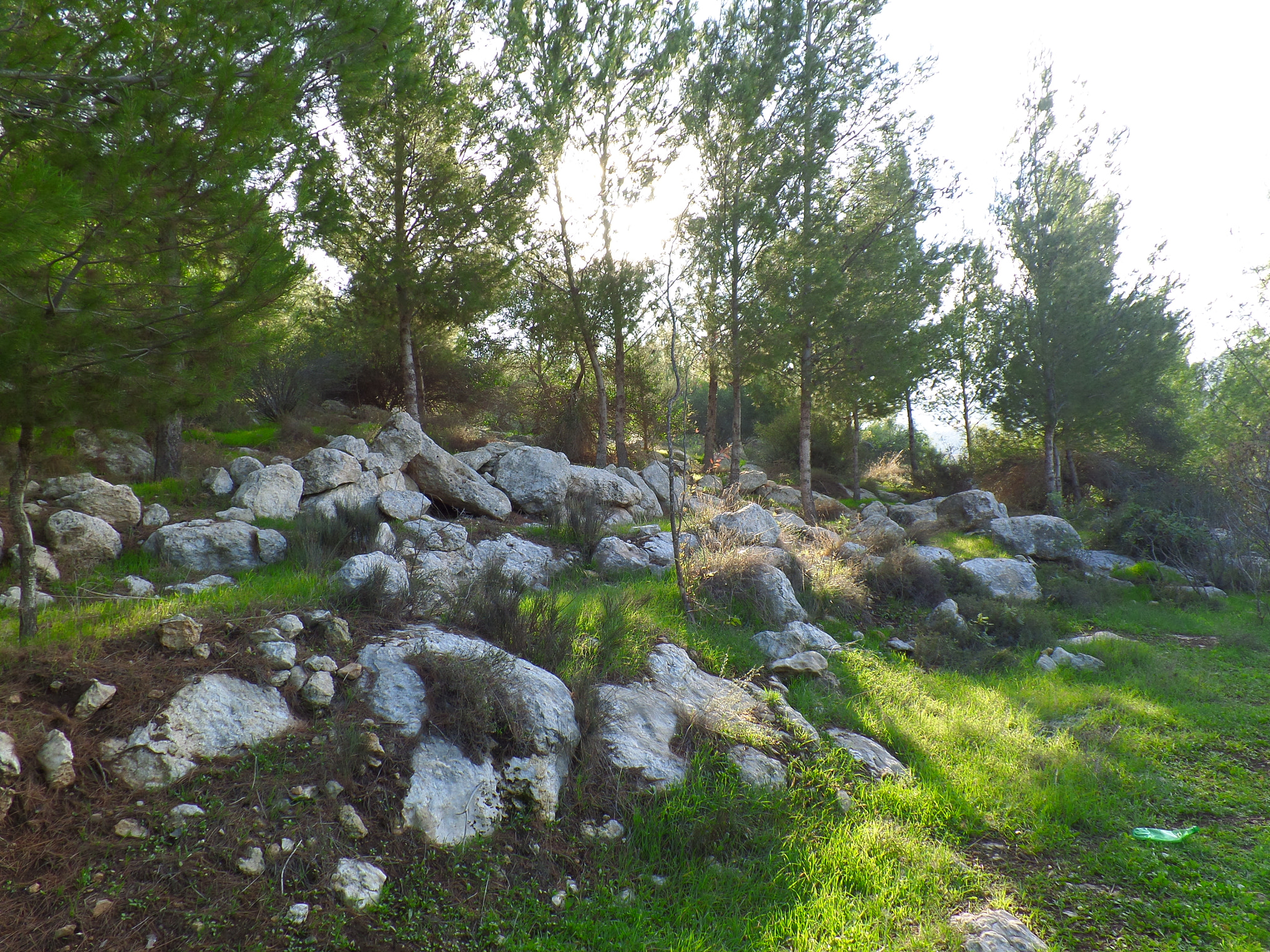Samsung WB800F sample photo. Magic of nature in palestine photography