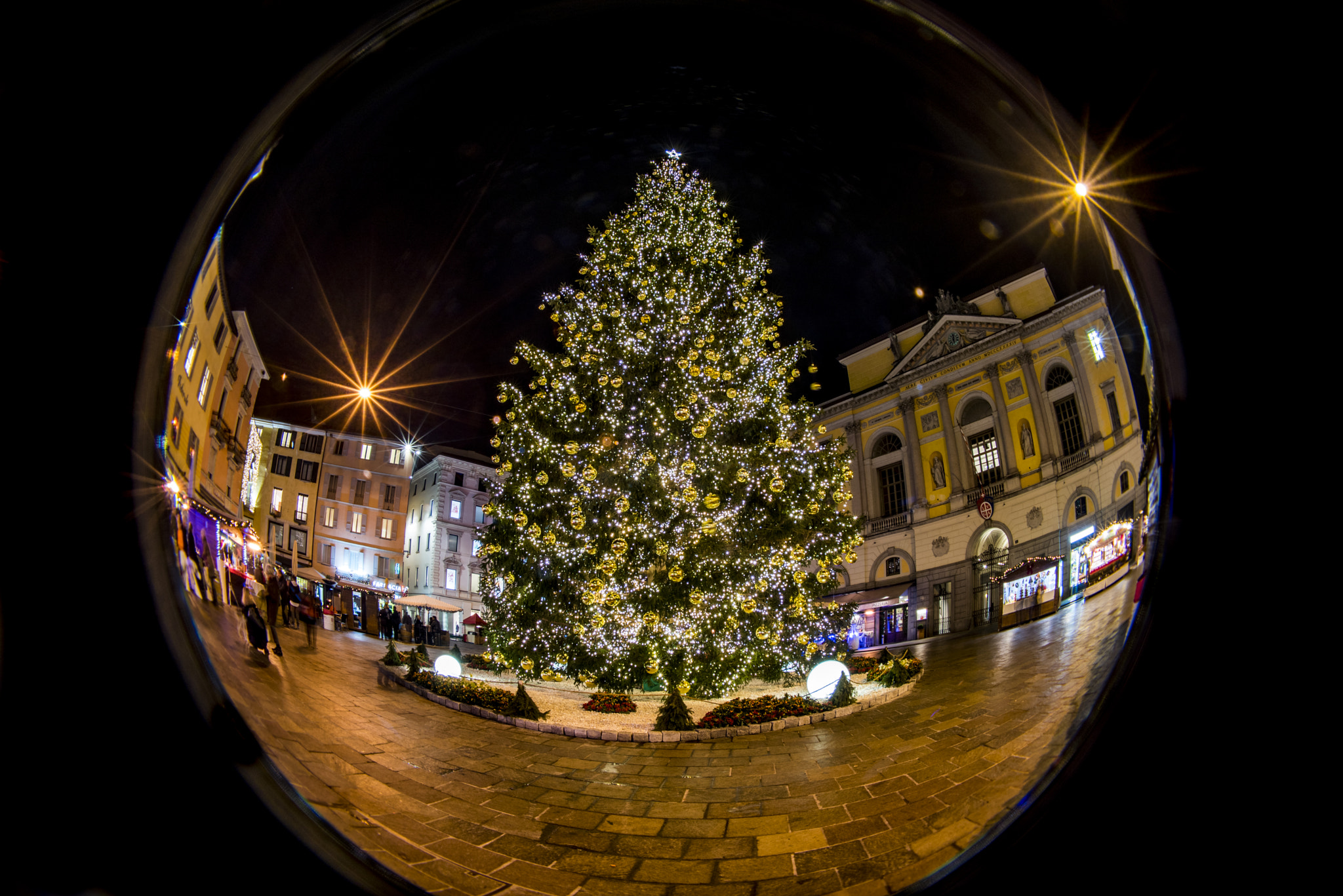 AF Zoom-Nikkor 35-80mm f/4-5.6D sample photo. Natale photography