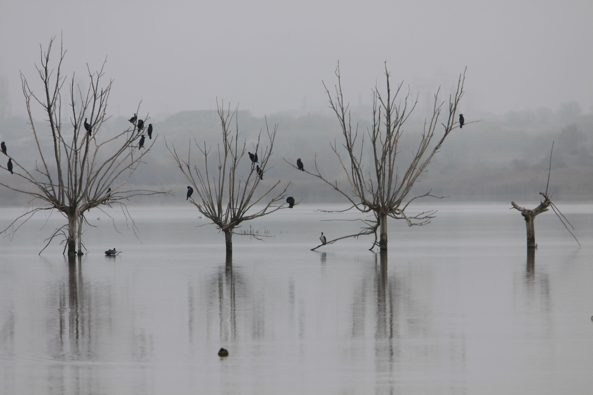 Canon EF 70-200mm F2.8L IS USM sample photo. Pausa photography
