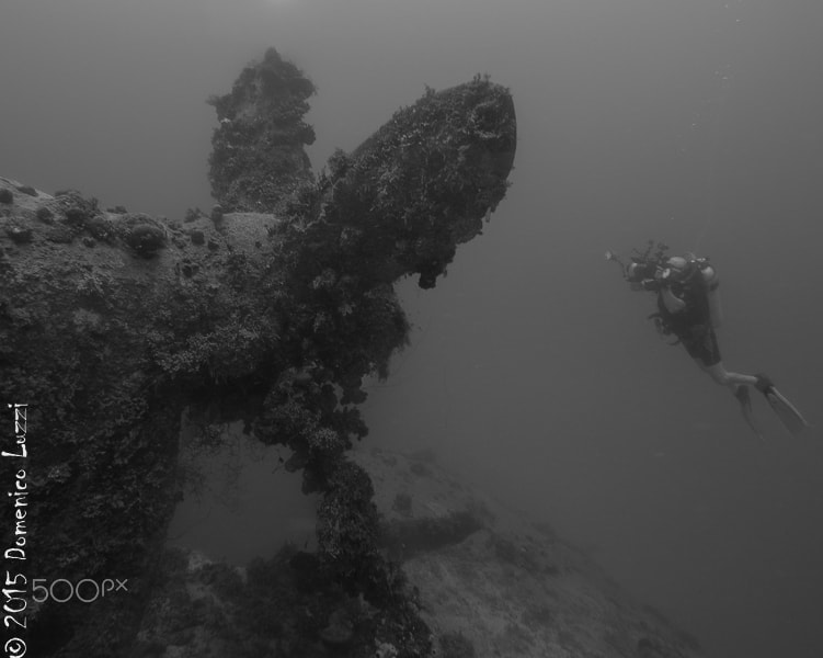 Olympus PEN E-PL5 + OLYMPUS M.9-18mm F4.0-5.6 sample photo. Giant propeller and diver photography