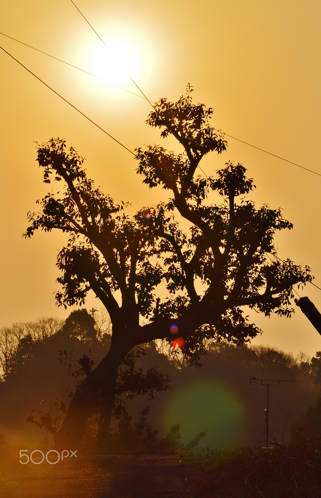 AF Zoom-Nikkor 70-300mm f/4-5.6D ED sample photo. Winter......morning photography