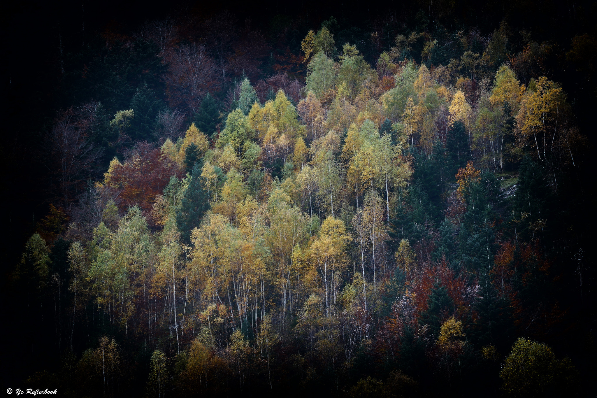 Canon EF 75-300mm f/4-5.6 USM sample photo. Peinture d'automne !!! photography