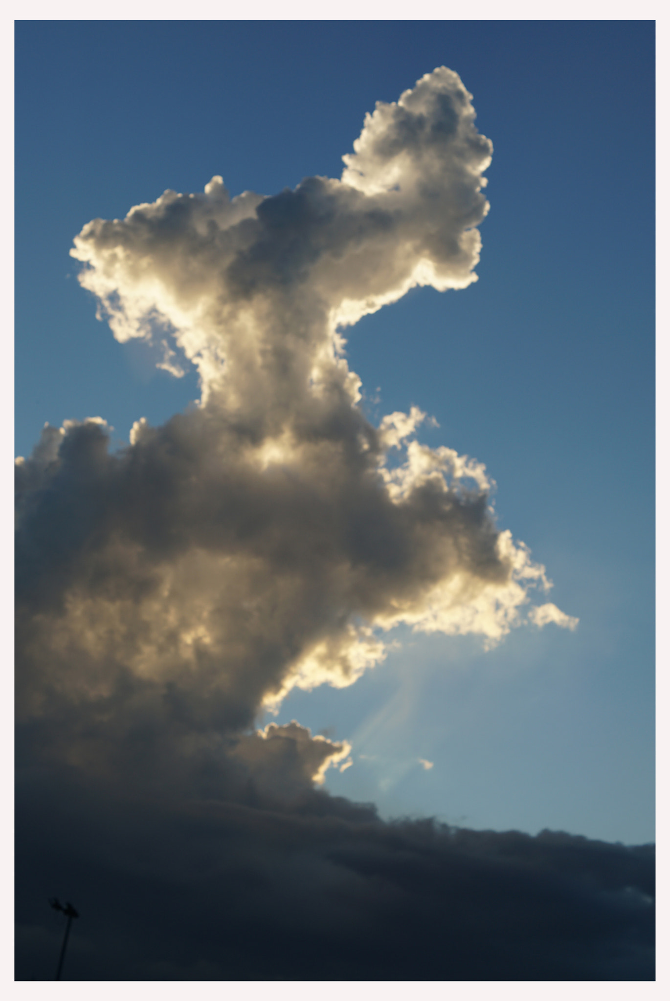 Sony DT 50mm F1.8 SAM sample photo. Clouds puppy.. photography