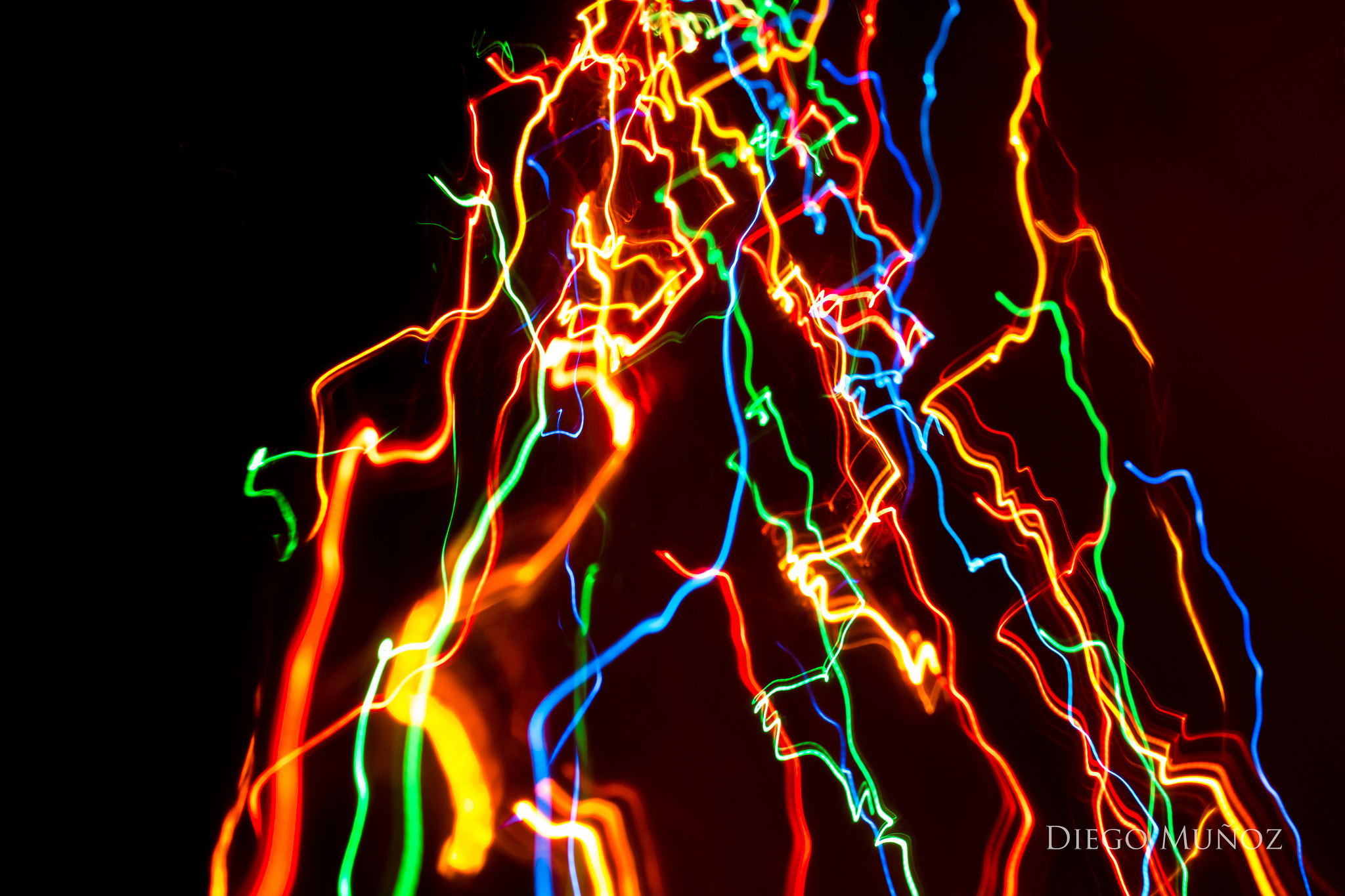 Canon EF 35-80mm f/4-5.6 sample photo. Christmas tree photography