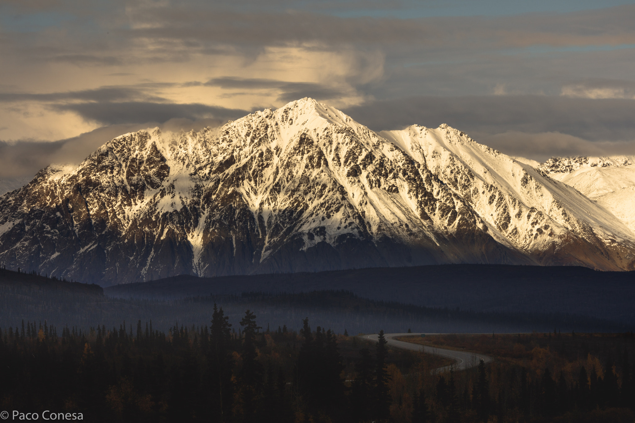 Canon EF 200-400mm F4L IS USM Extender 1.4x sample photo. To the wild photography