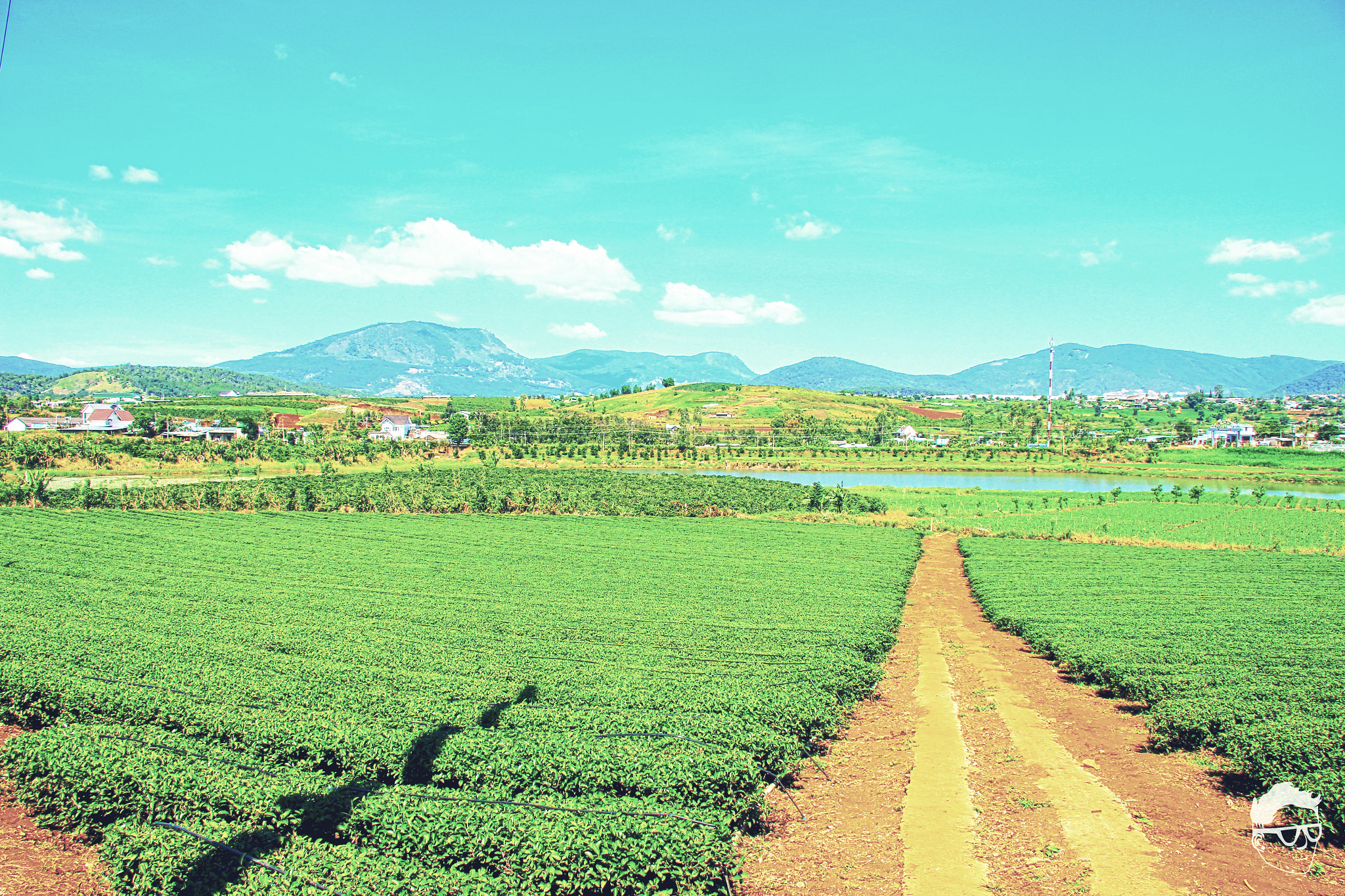 Canon EOS 550D (EOS Rebel T2i / EOS Kiss X4) sample photo. My life, my style :) photography