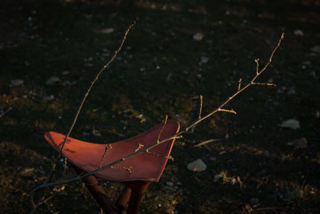 ZEISS Makro-Planar T* 50mm F2 sample photo. Fishing stool photography