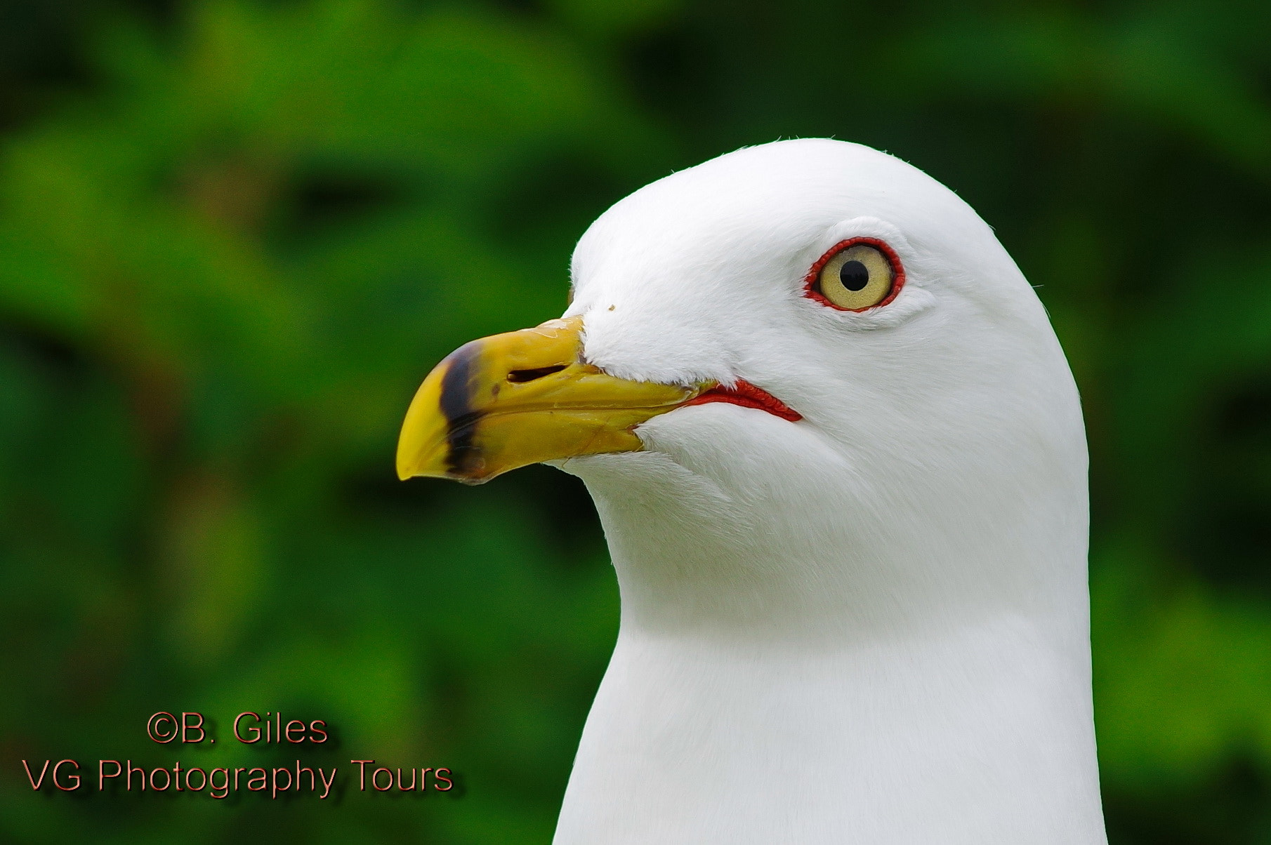 Pentax K-3 sample photo. My best side photography