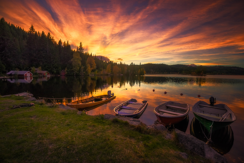 Sony a7R + Canon EF 16-35mm F4L IS USM sample photo. Fan photography