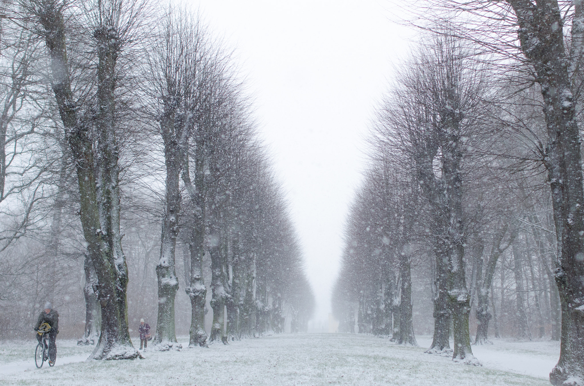 Nikon D7000 + Nikon AF-S Nikkor 28mm F1.8G sample photo. All i want for christmas is snow... photography