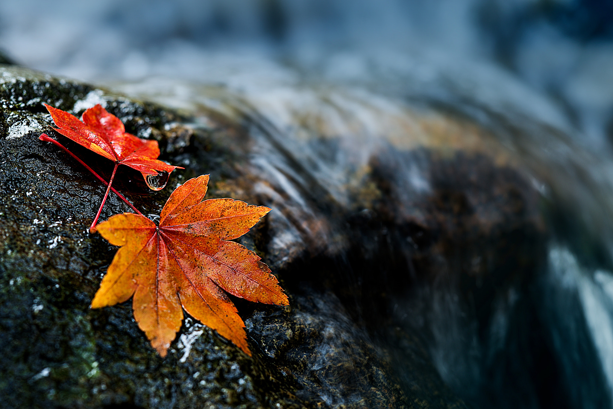 Nikon D800E + ZEISS Apo Sonnar T* 135mm F2 sample photo. At the water's edge photography