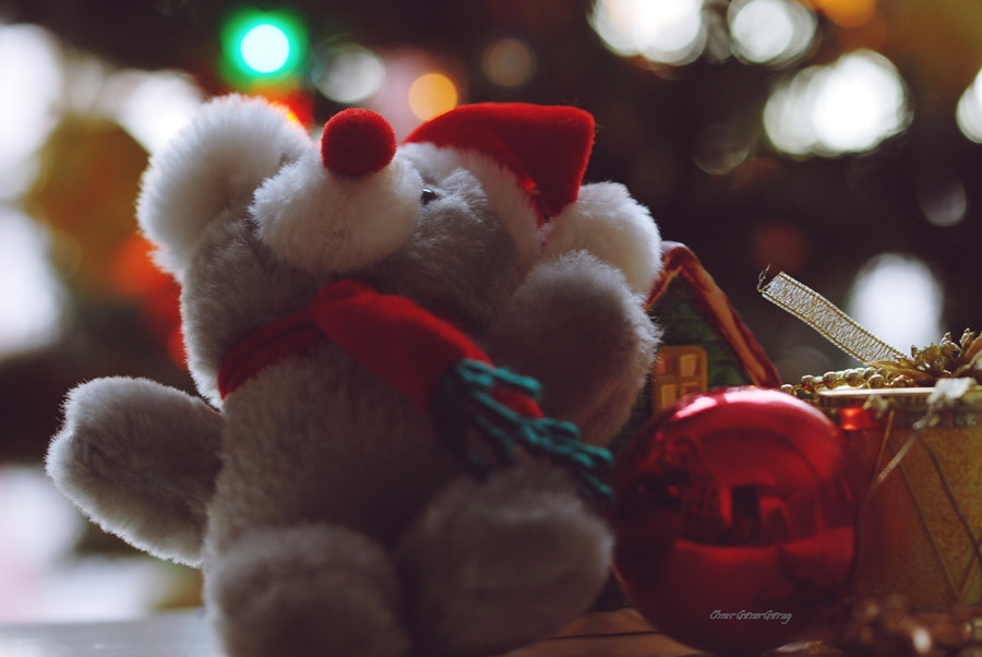 Sigma 105mm F2.8 EX DG OS HSM sample photo. Hello photography