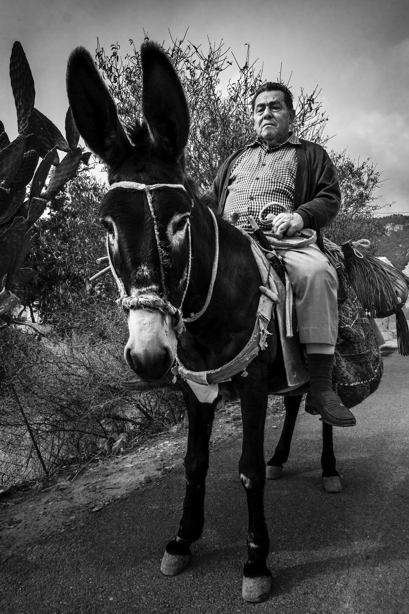 Fujifilm XC 16-50mm F3.5-5.6 OIS sample photo. Vıllage man photography