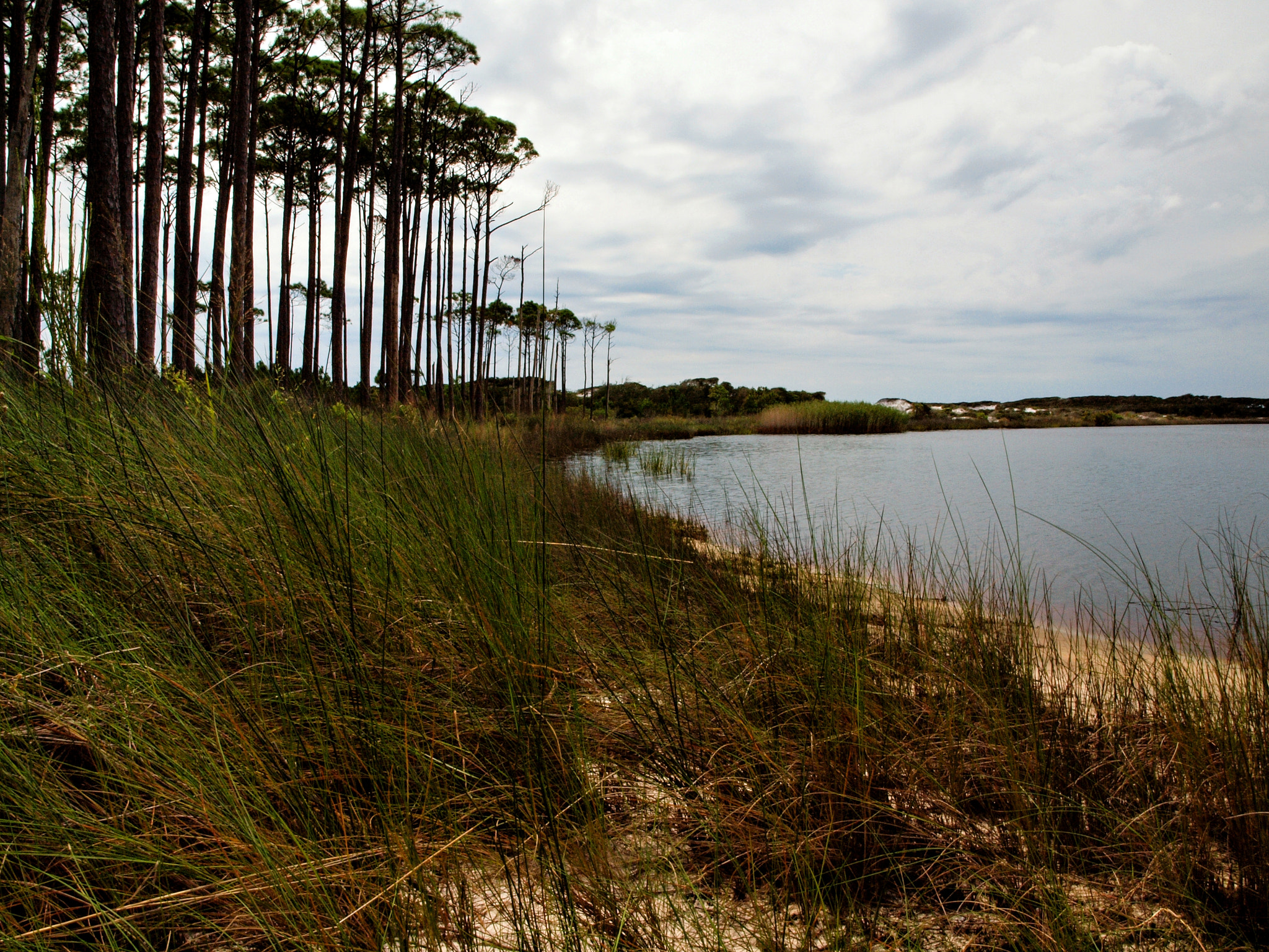 Olympus E-600 (EVOLT E-600) + OLYMPUS 14-42mm Lens sample photo. Grayton beach state park: western lake shore photography