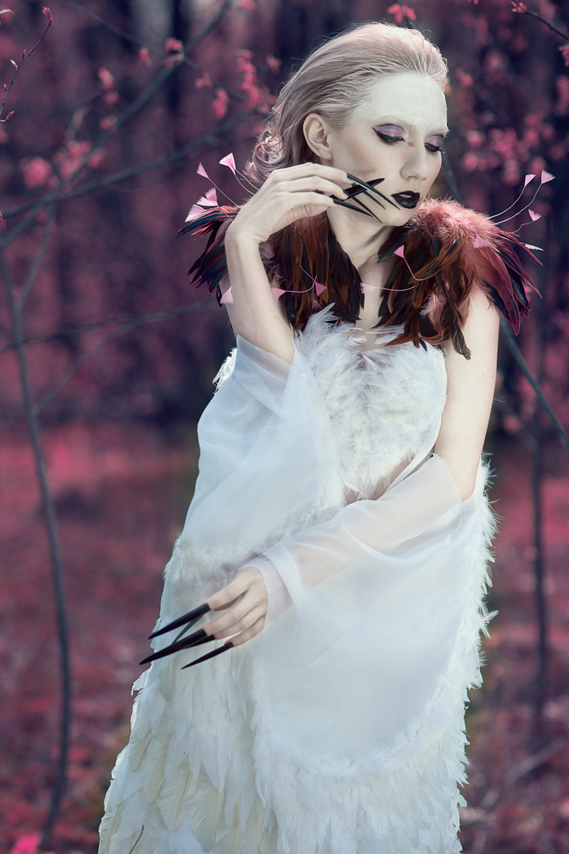 Sony Planar T* 85mm F1.4 ZA sample photo. Птица photography