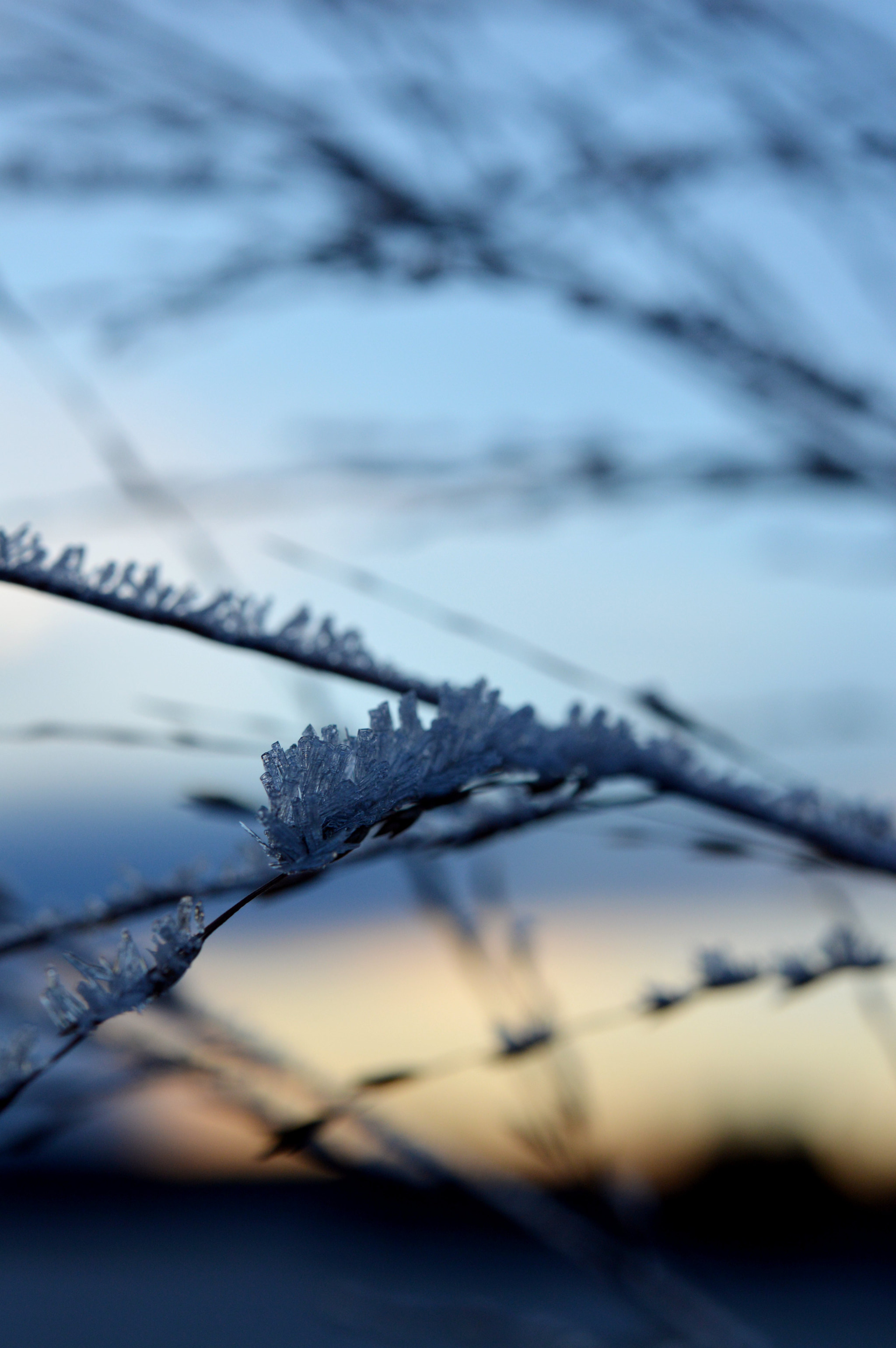 Nikon D3200 + Nikon AF-S Micro-Nikkor 60mm F2.8G ED sample photo. The coldest day of the year... photography