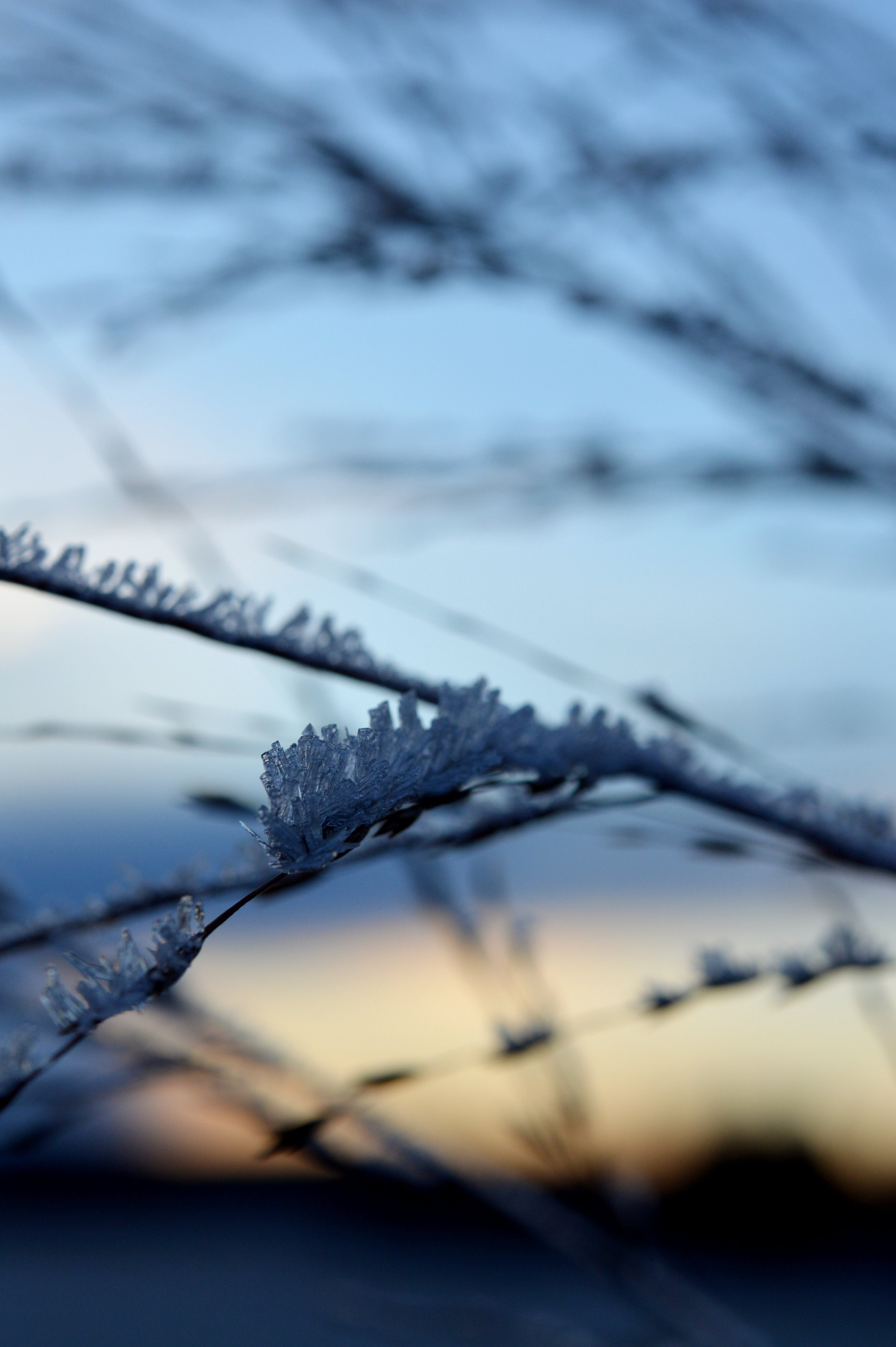 Nikon AF-S Micro-Nikkor 60mm F2.8G ED sample photo. The coldest day of the year... photography